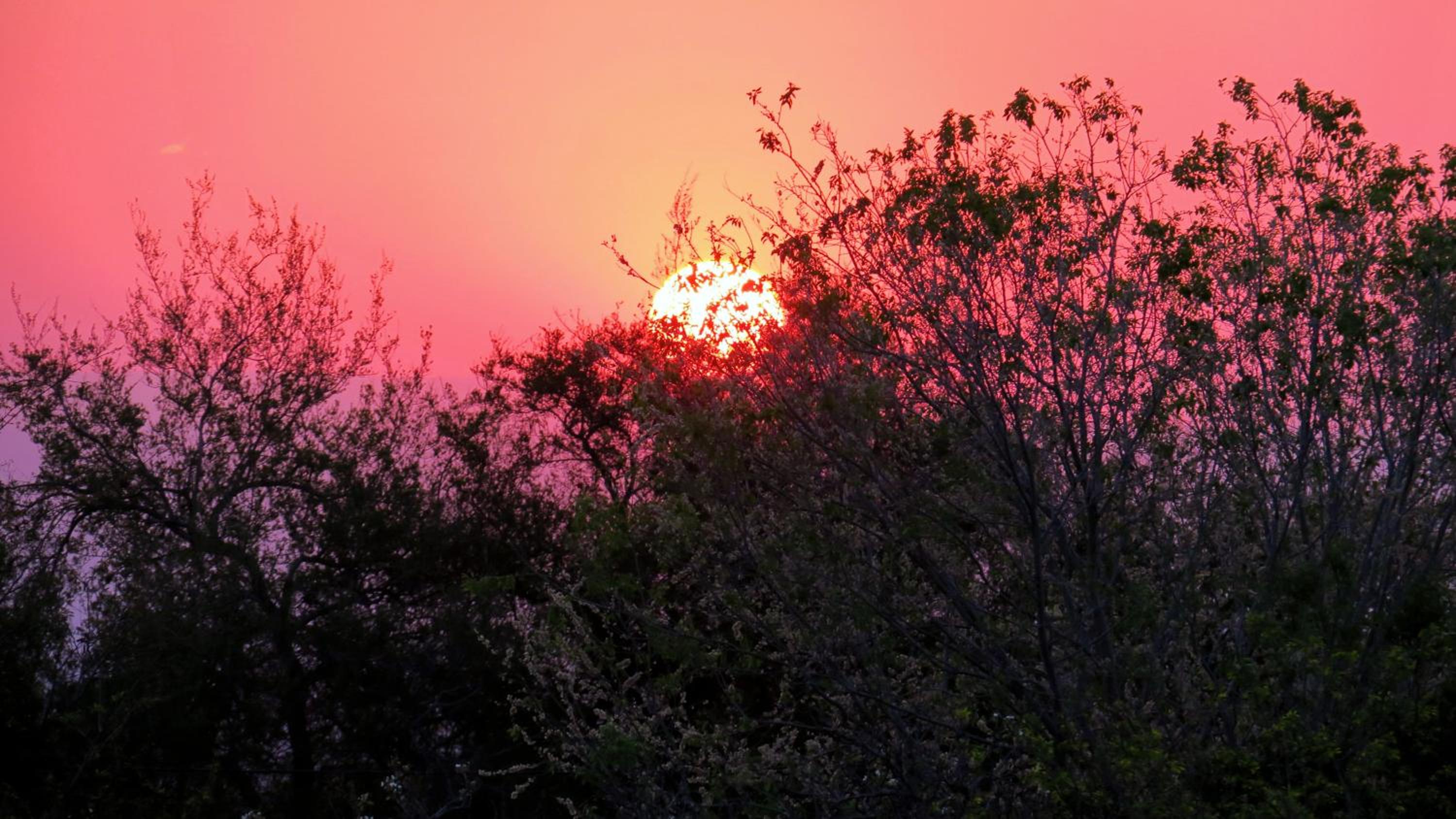 Cabañas Yanasuy