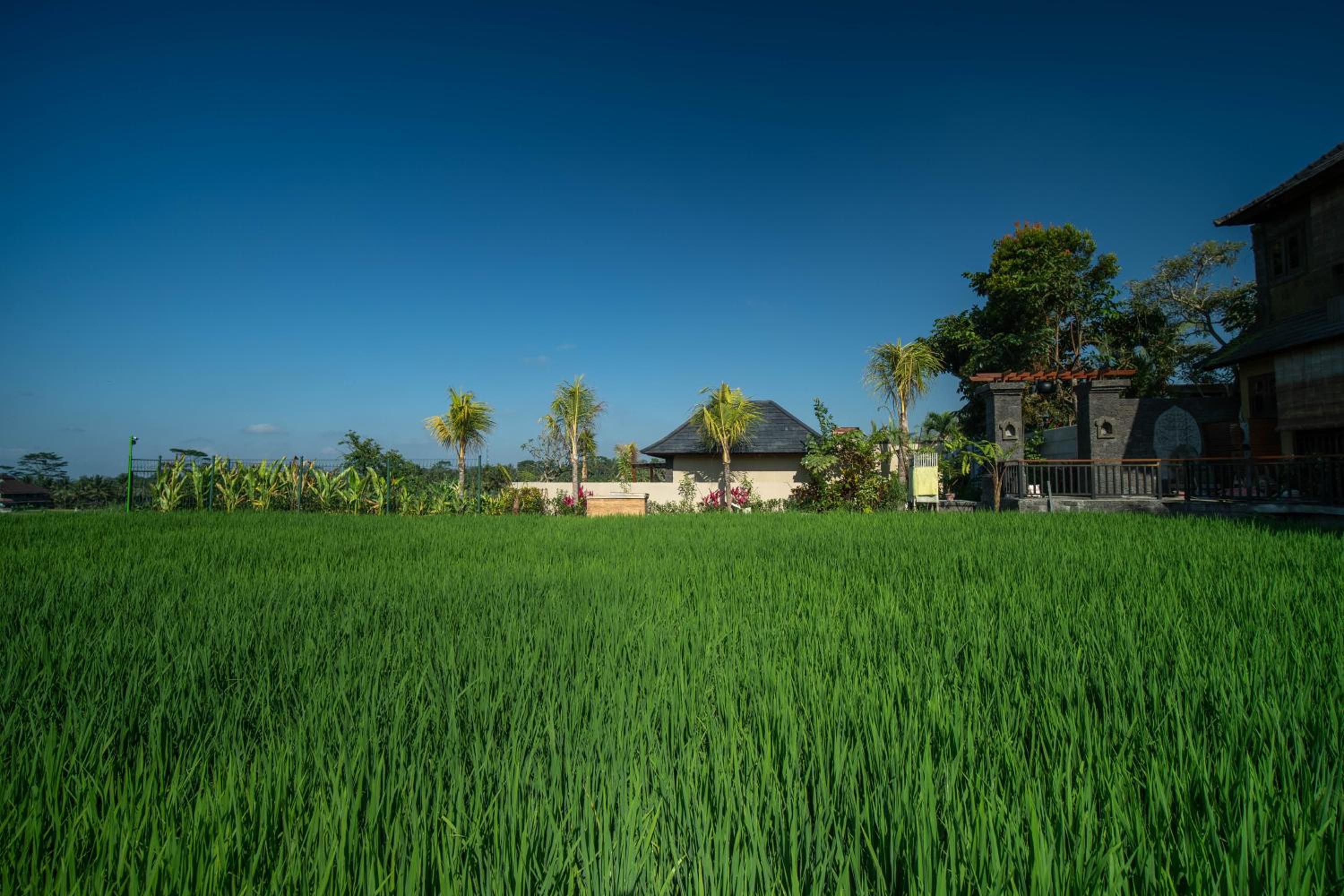 Bliss Ubud Luxury Villa view 4