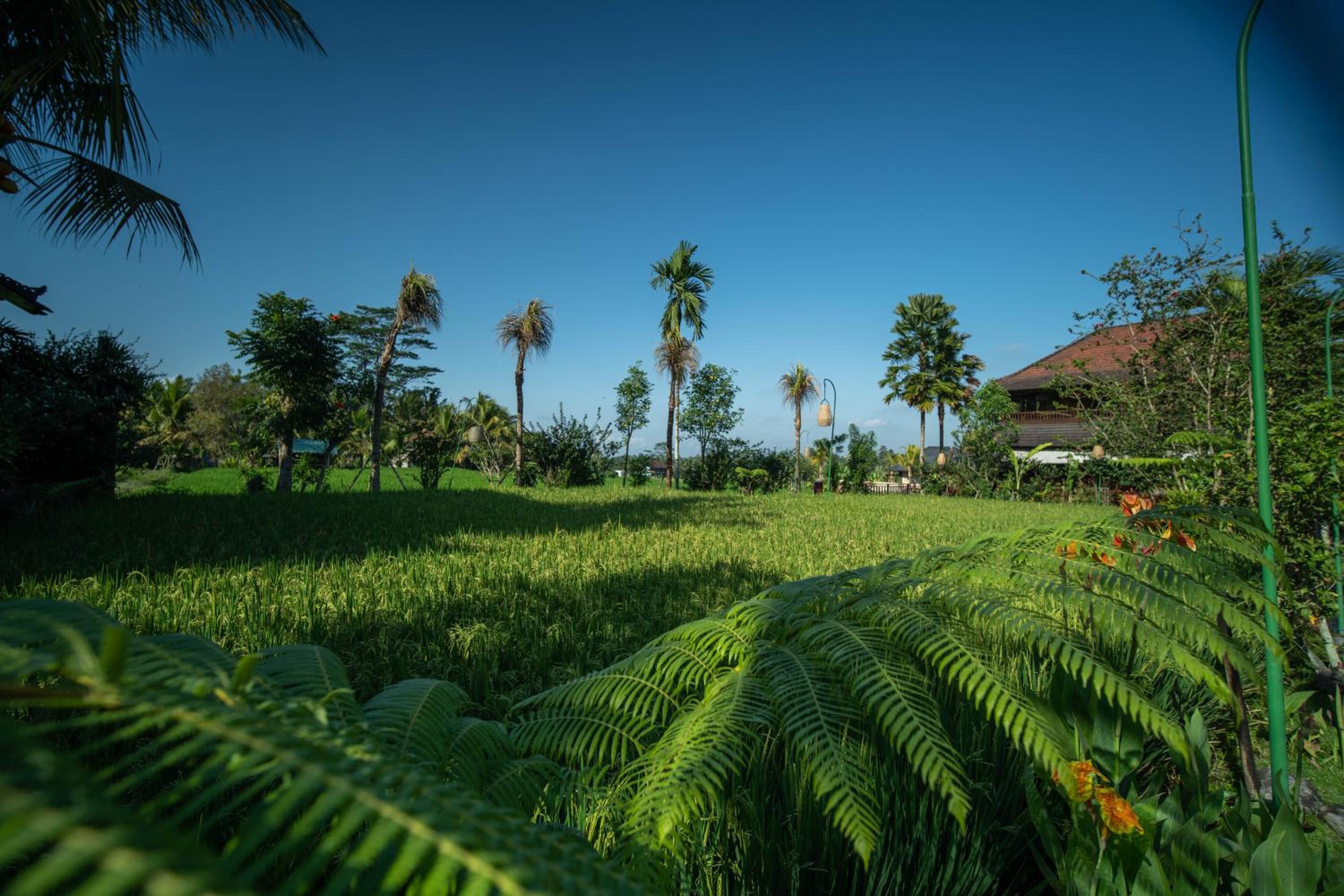 Bliss Ubud Luxury Villa view 3