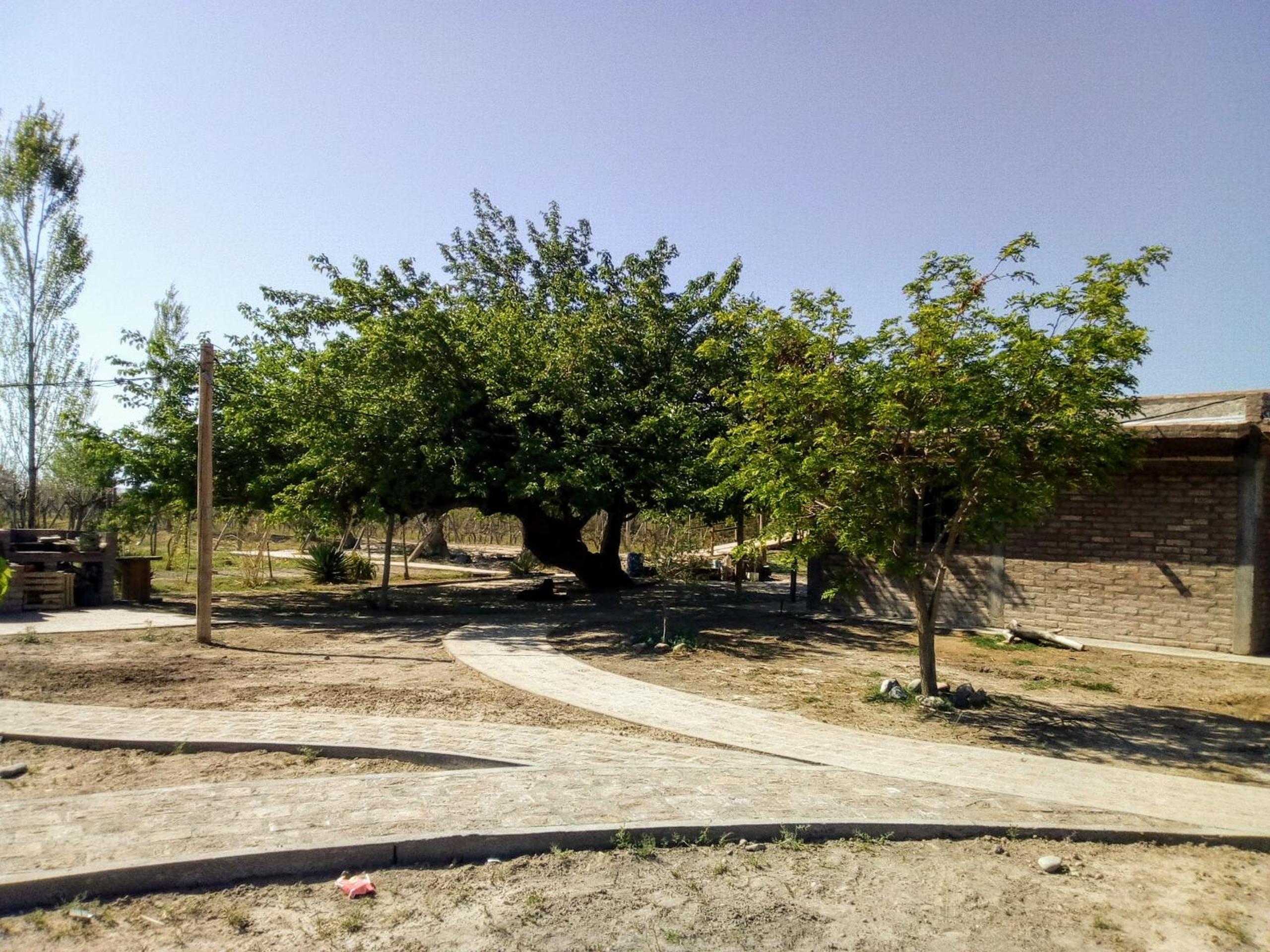 Cabañas de la bodega Romano-Pin
