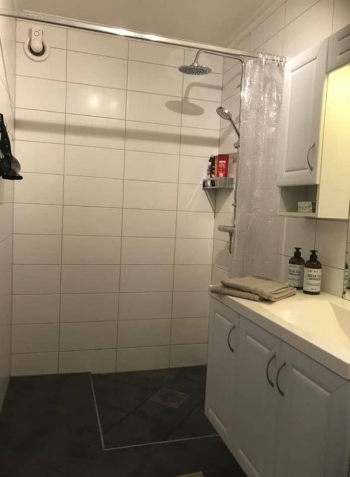 Notodden Sentrum Apartment NO 2 view 2