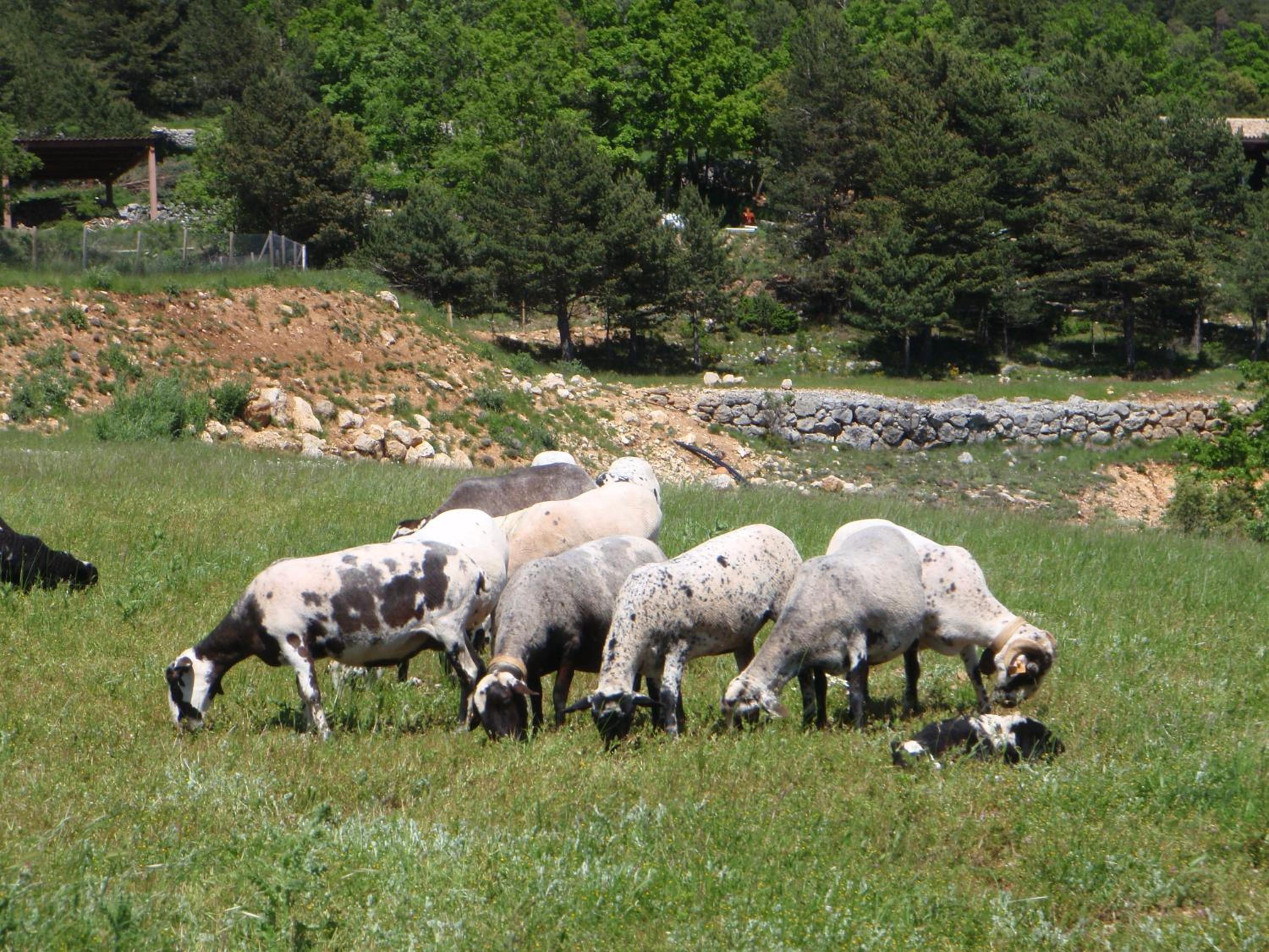 Photo 40