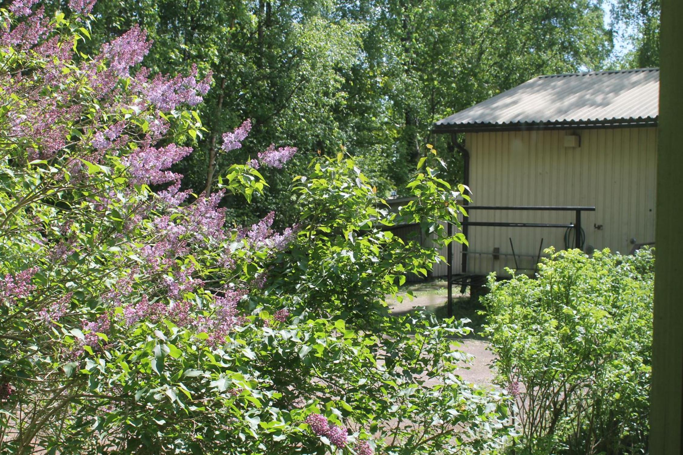 Guesthouse - Kuin Kotonaan