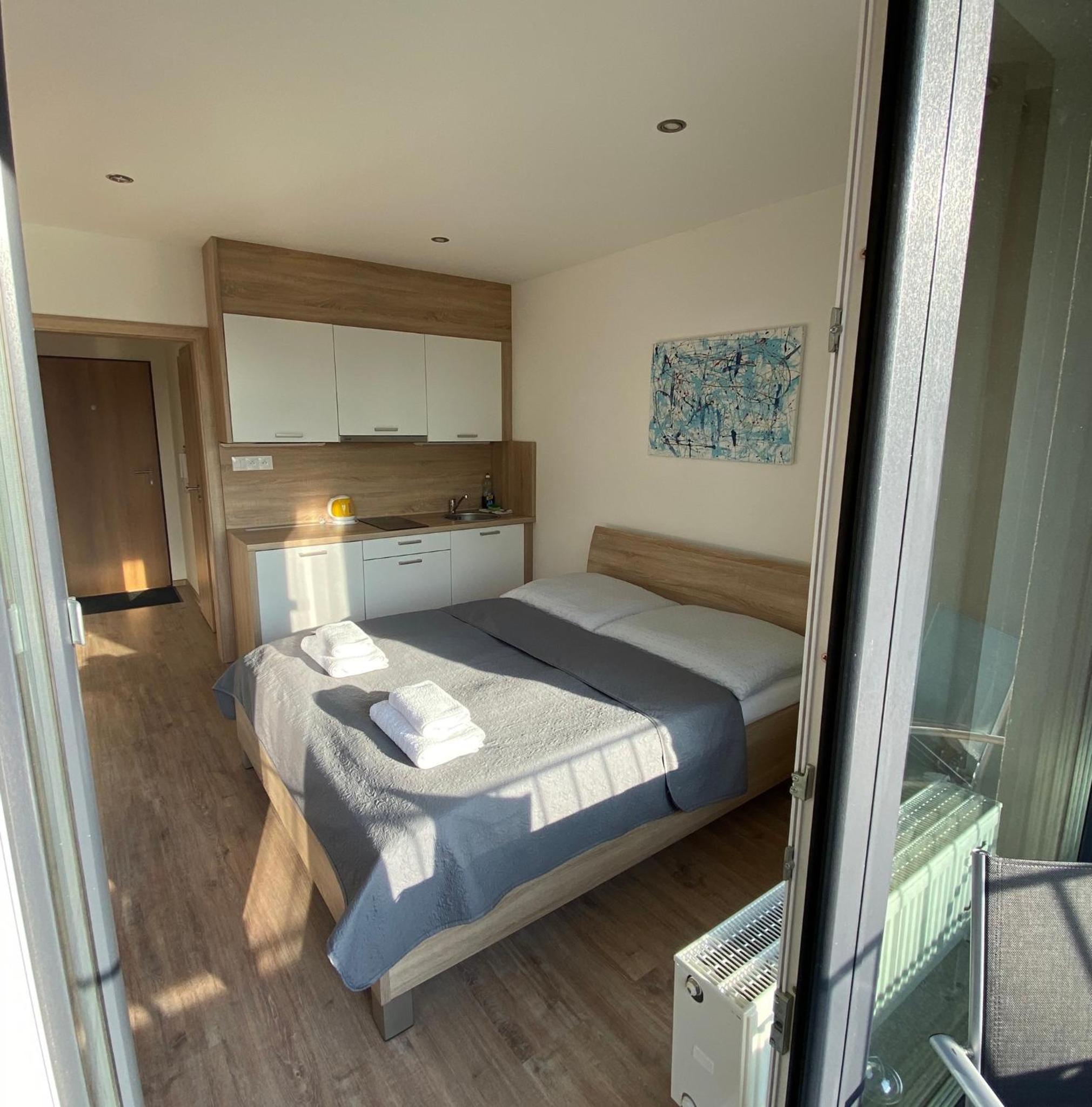 Apartment Poprad view 4