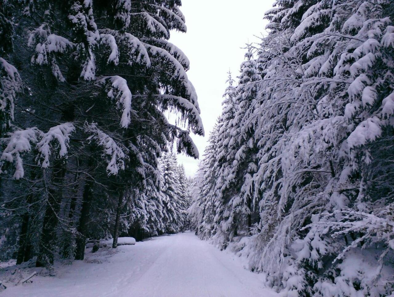 Mala Narnia
