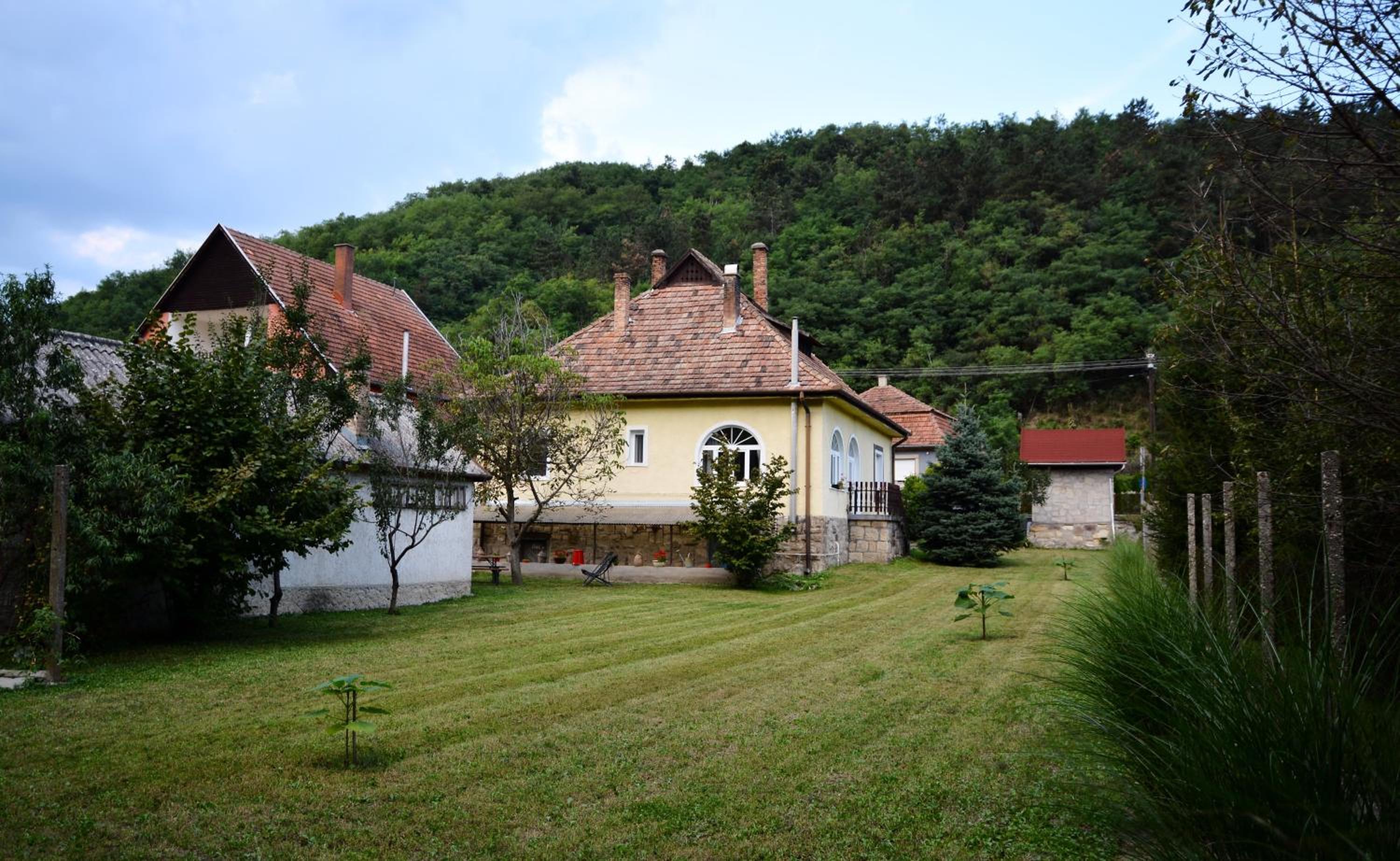 Photo 20