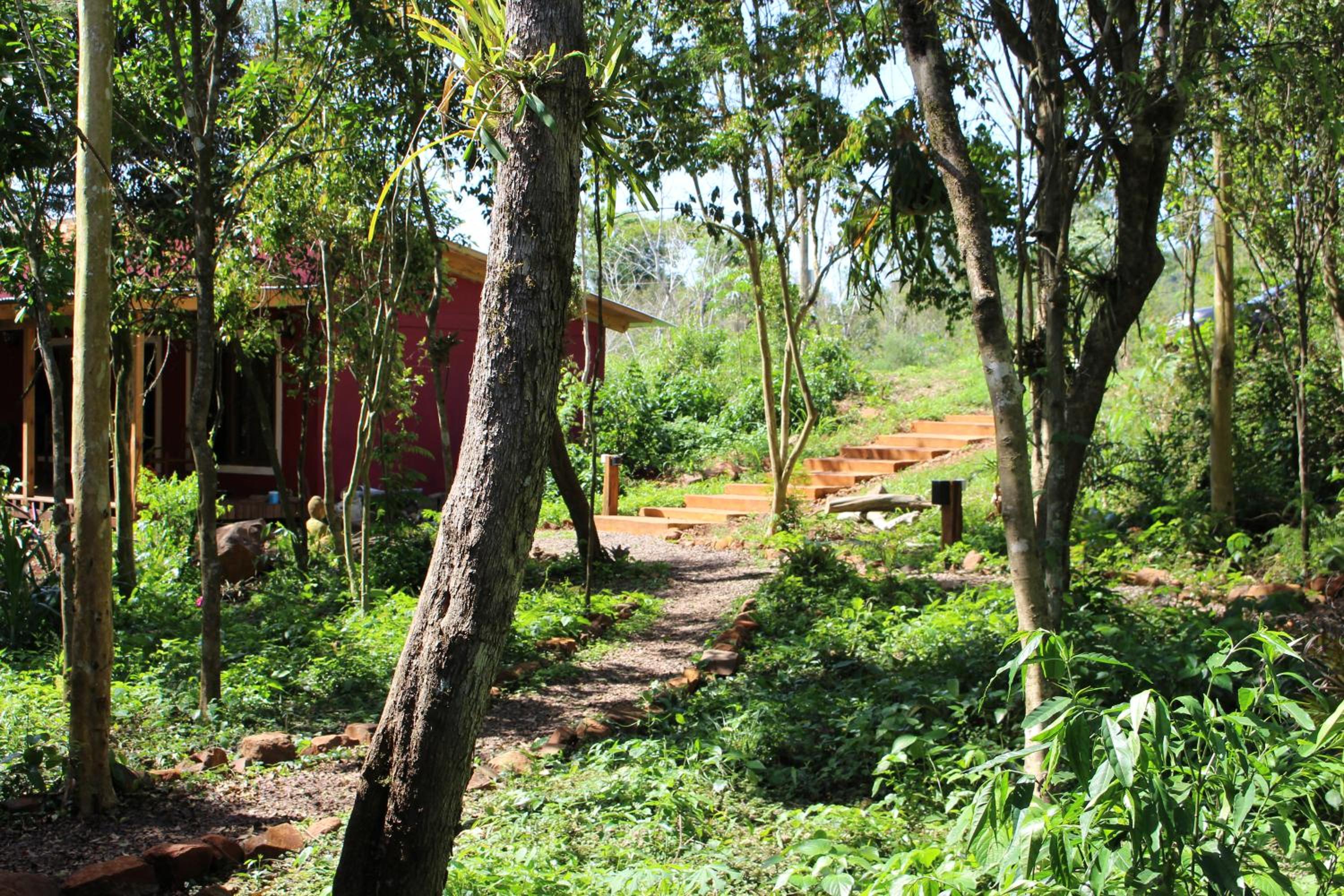 Yateí-house