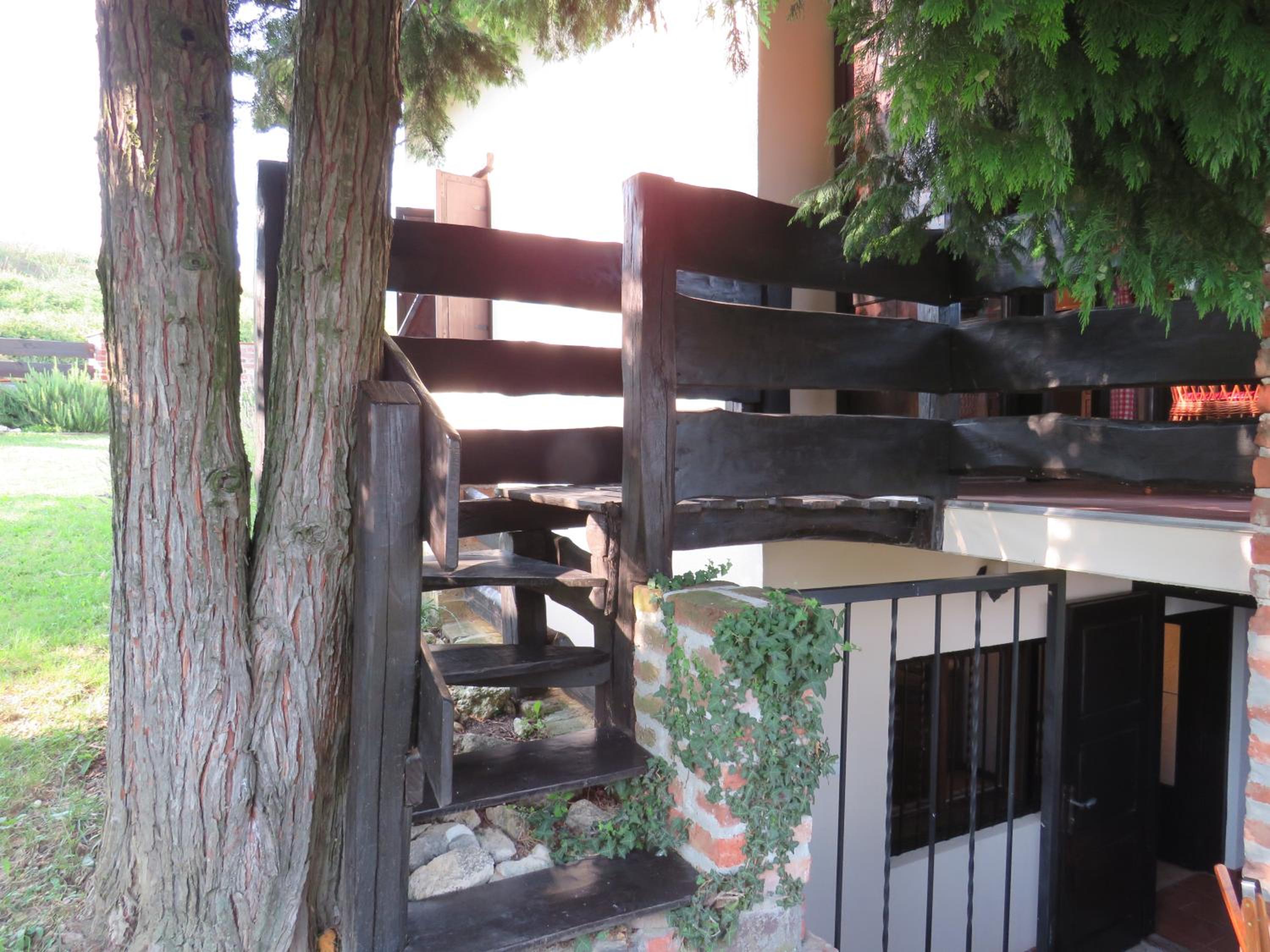 Photo 53
