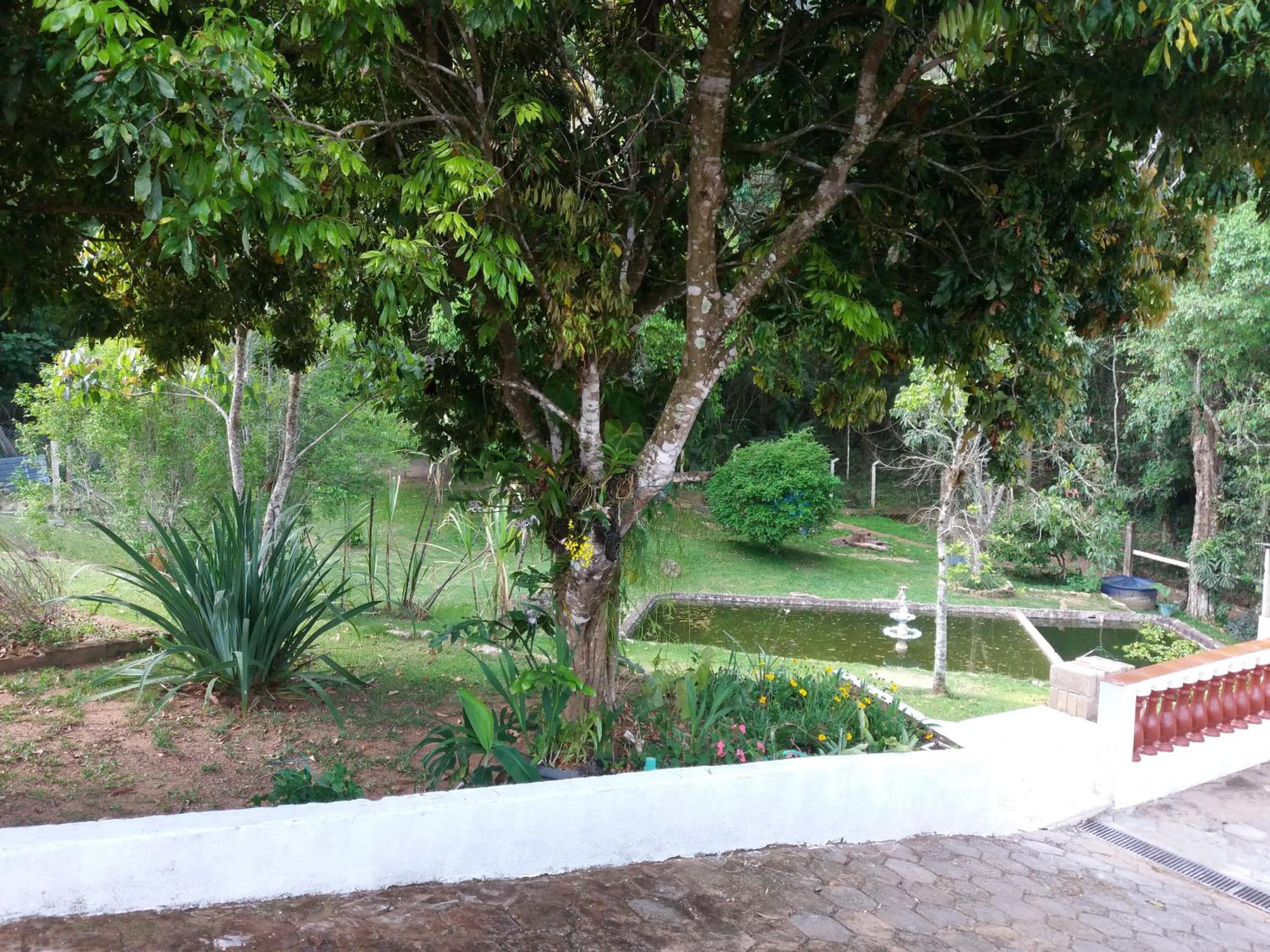 Meu pedacinho de chão