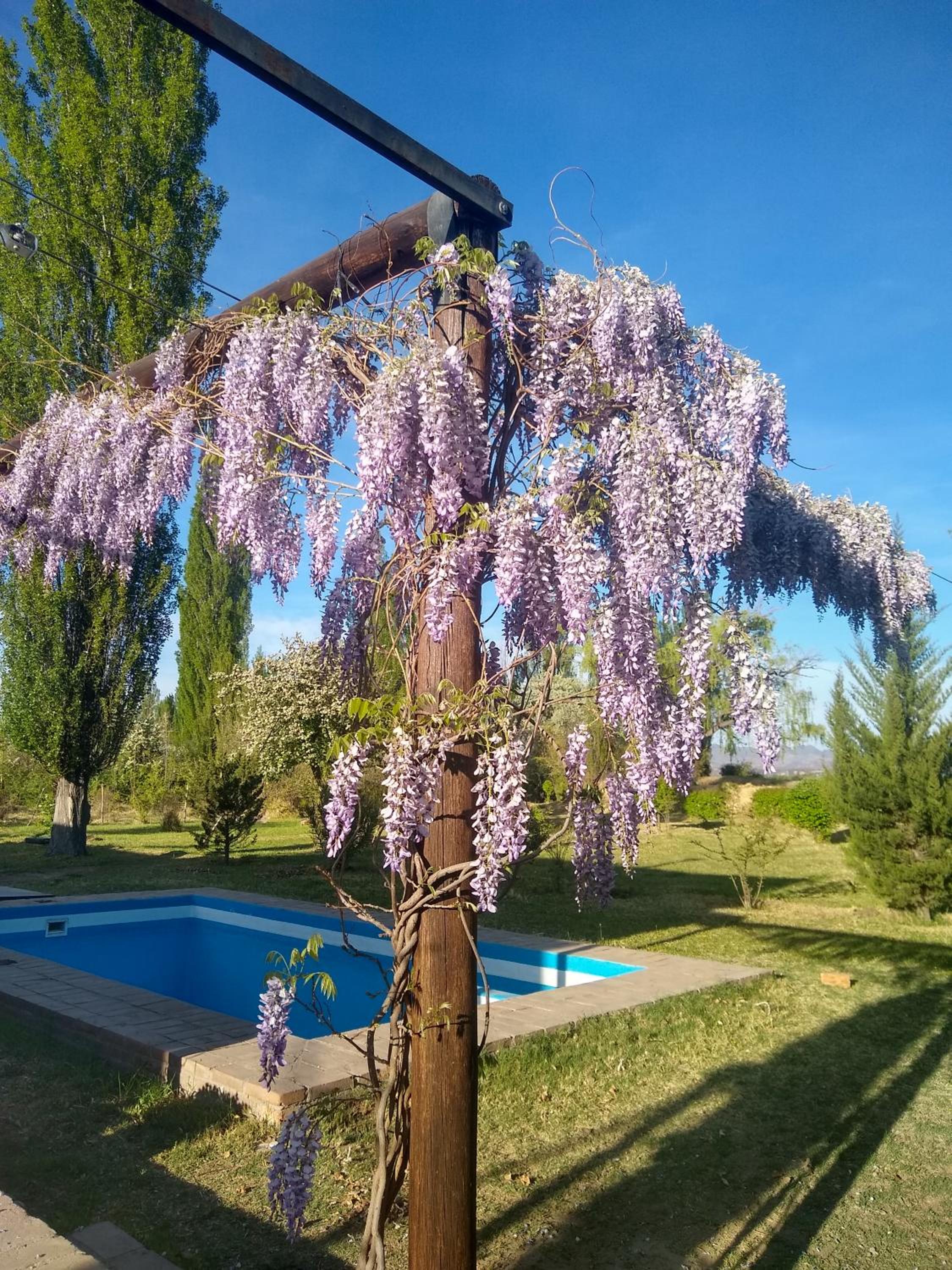 Finca La Penúltima-Posada