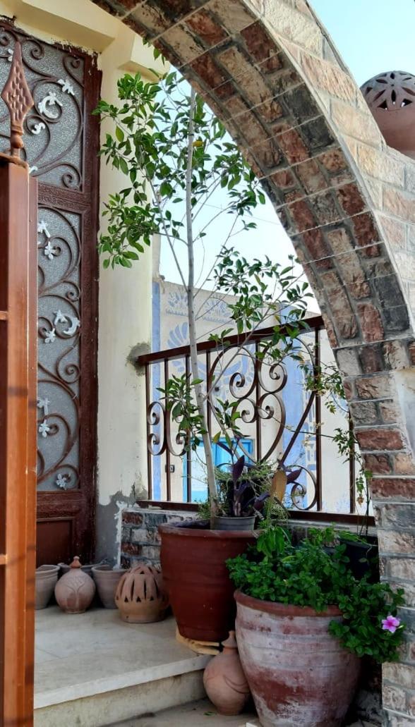 Habibi Nubian Guest House-Nubian Hospitality