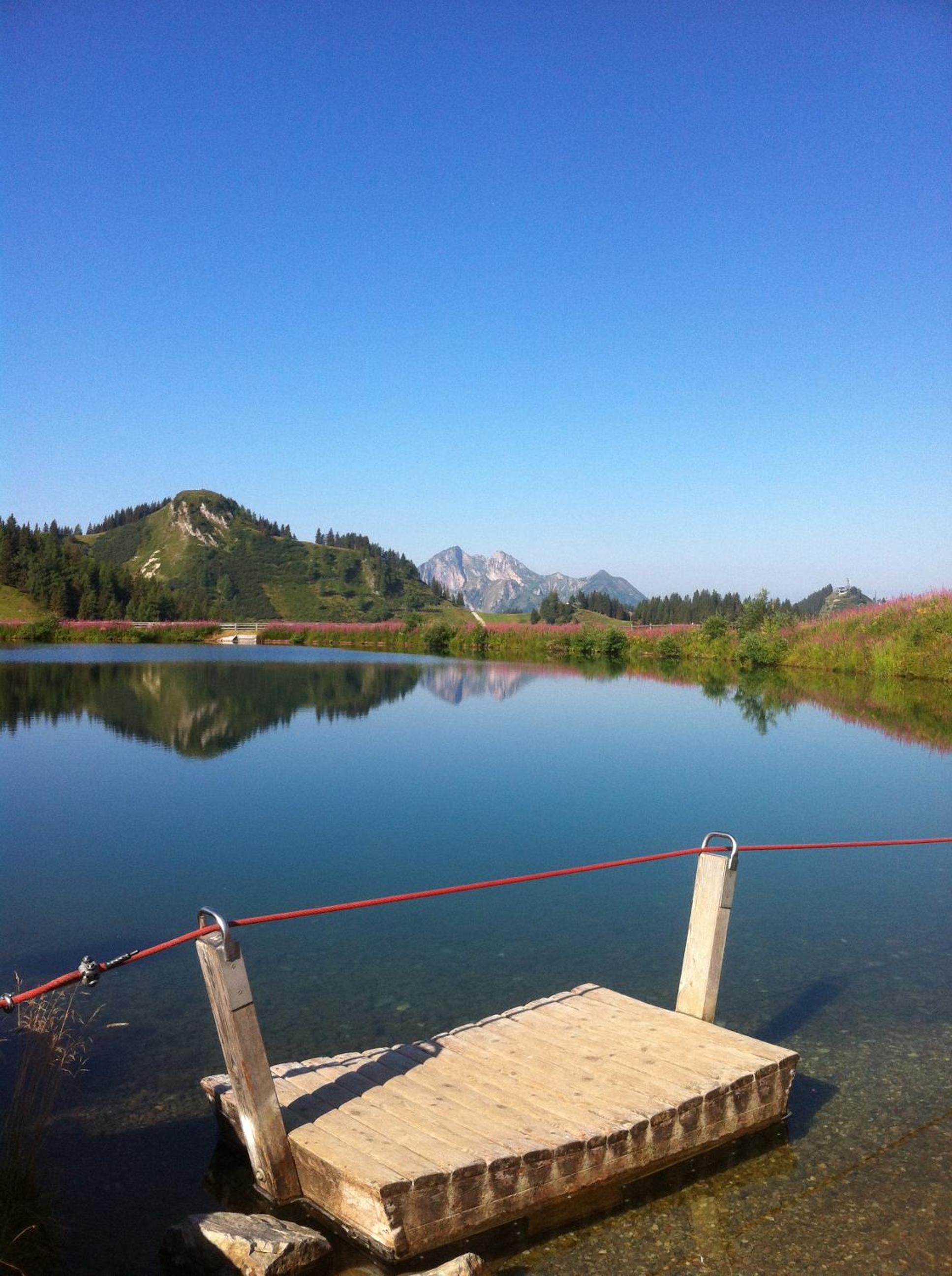 Photo 44