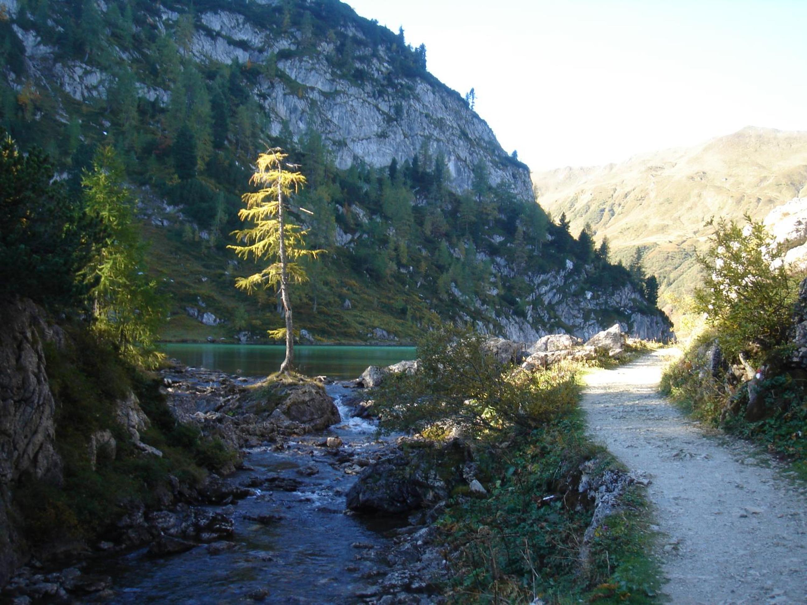 Photo 40