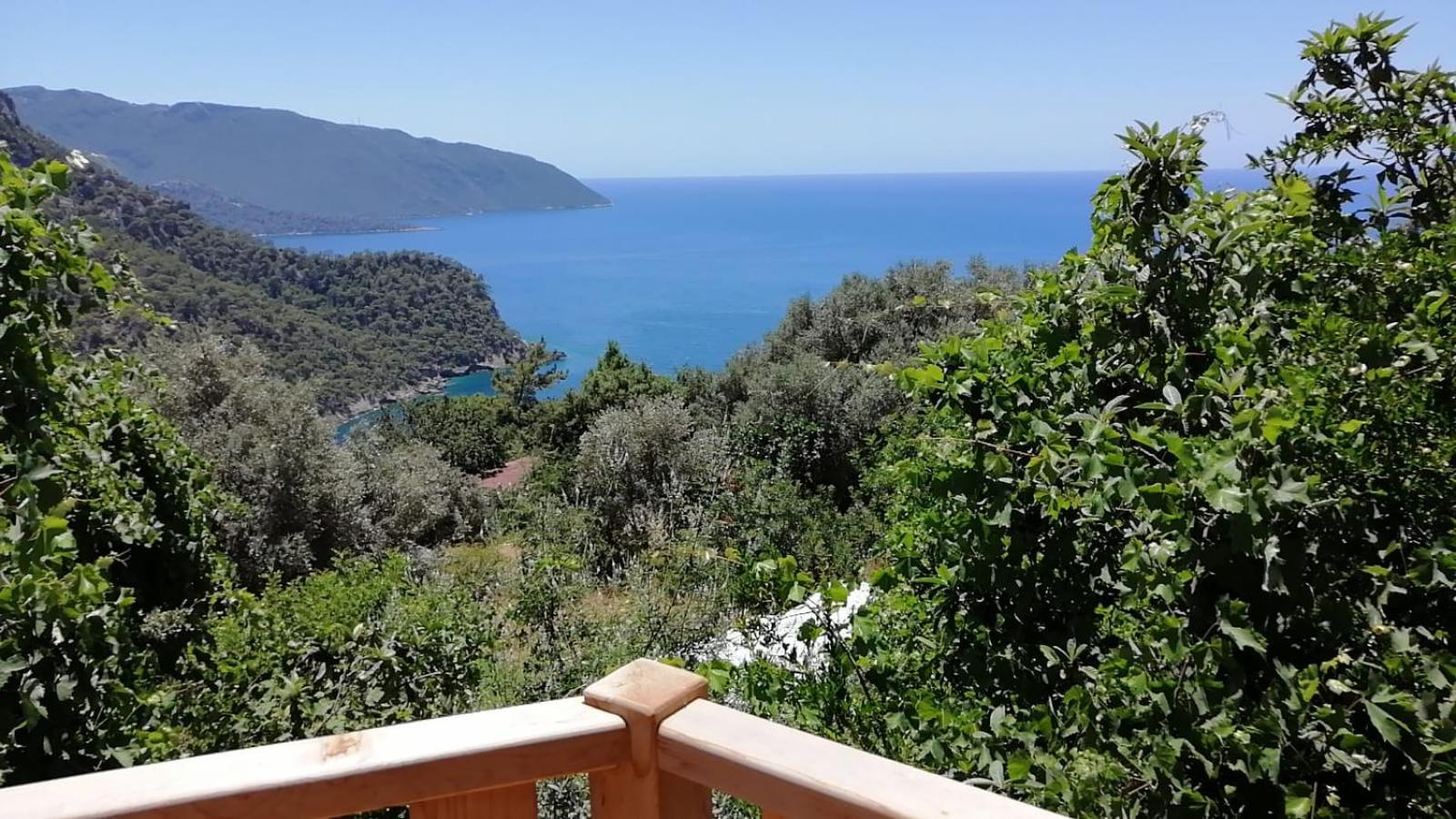 Villa Alemdaroğlu Secret Garden