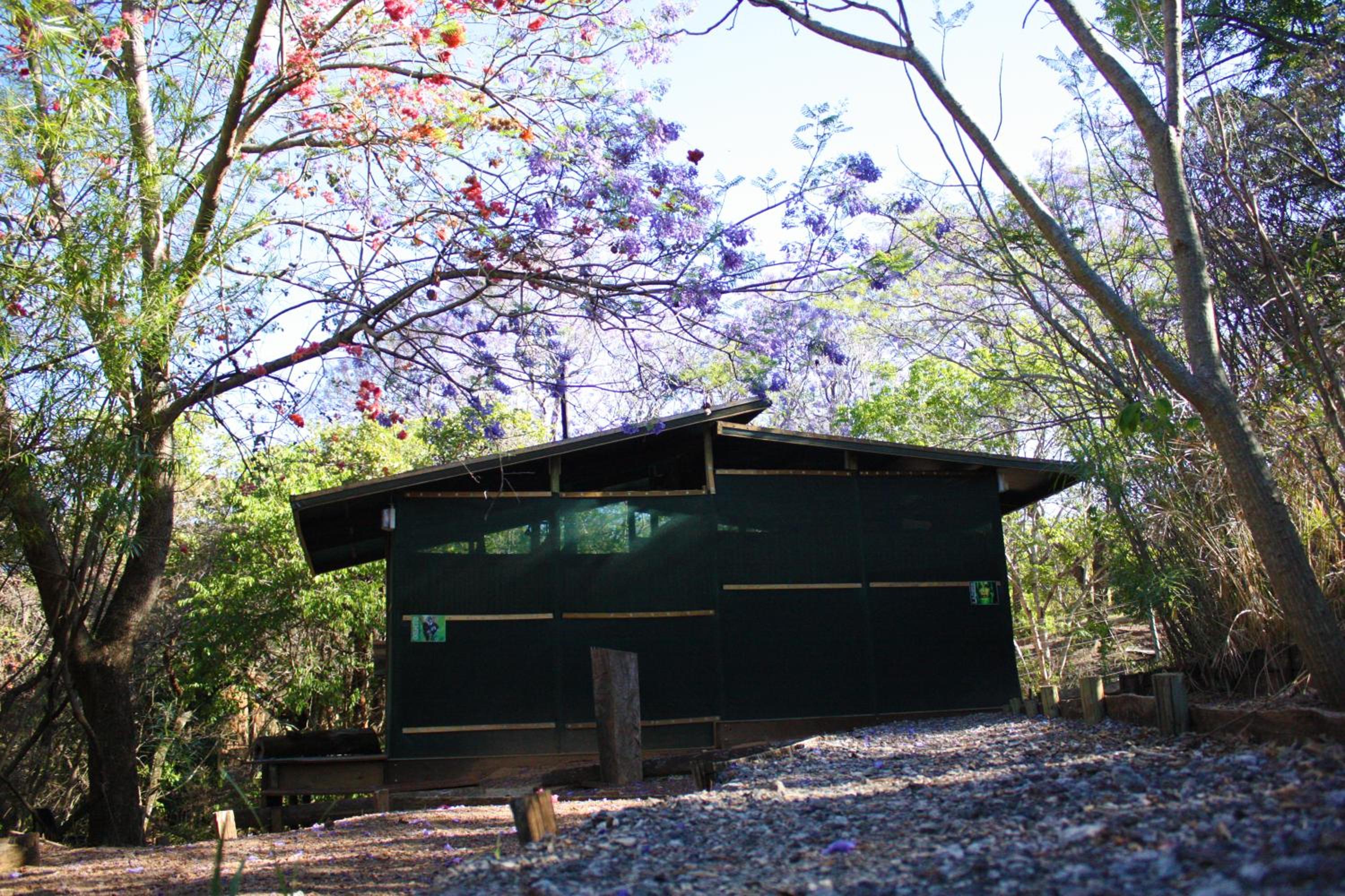 Hazyview Adventure Backpackers