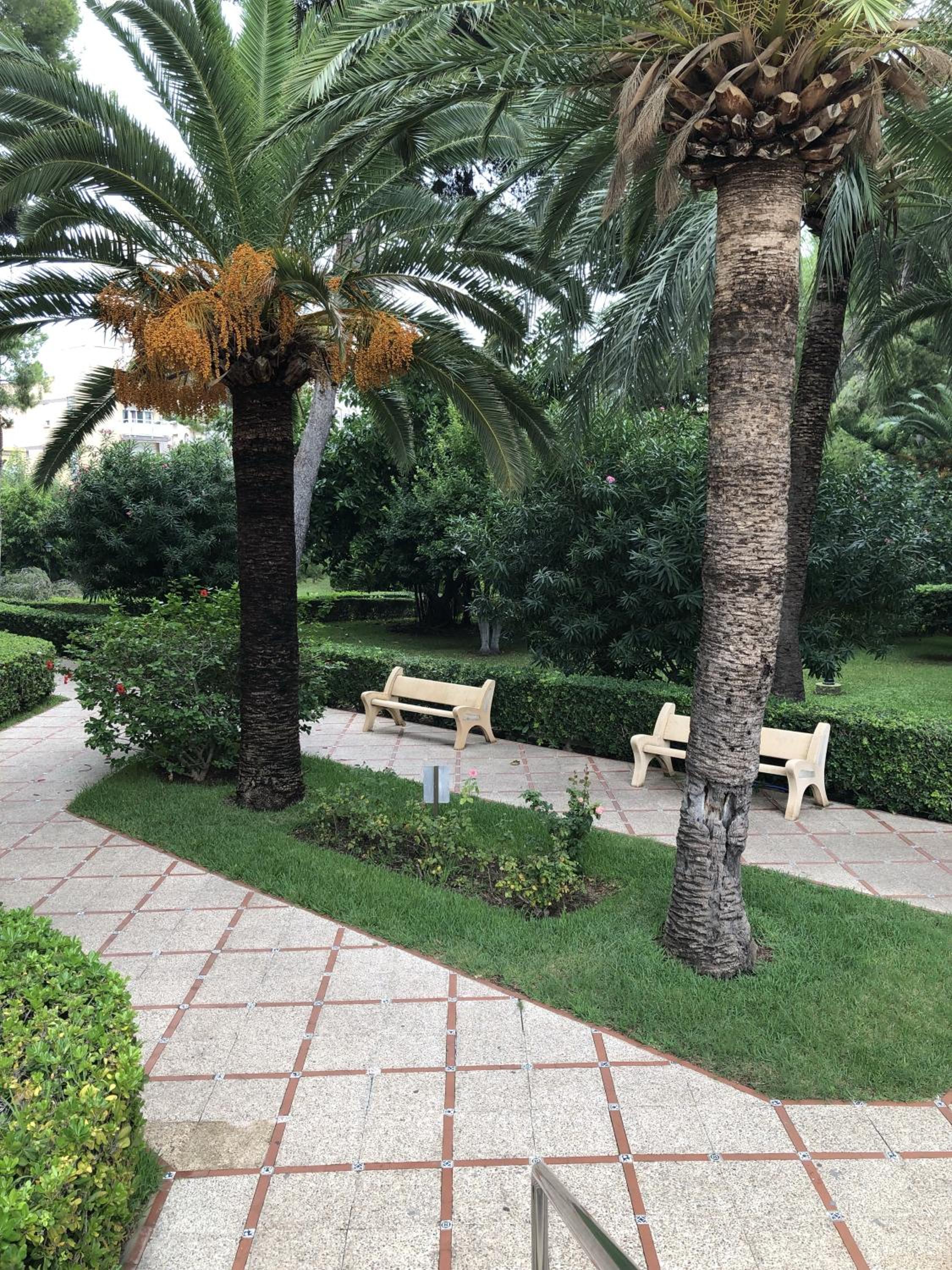 Apartamento Parque 2 Playa de Gandía view 5