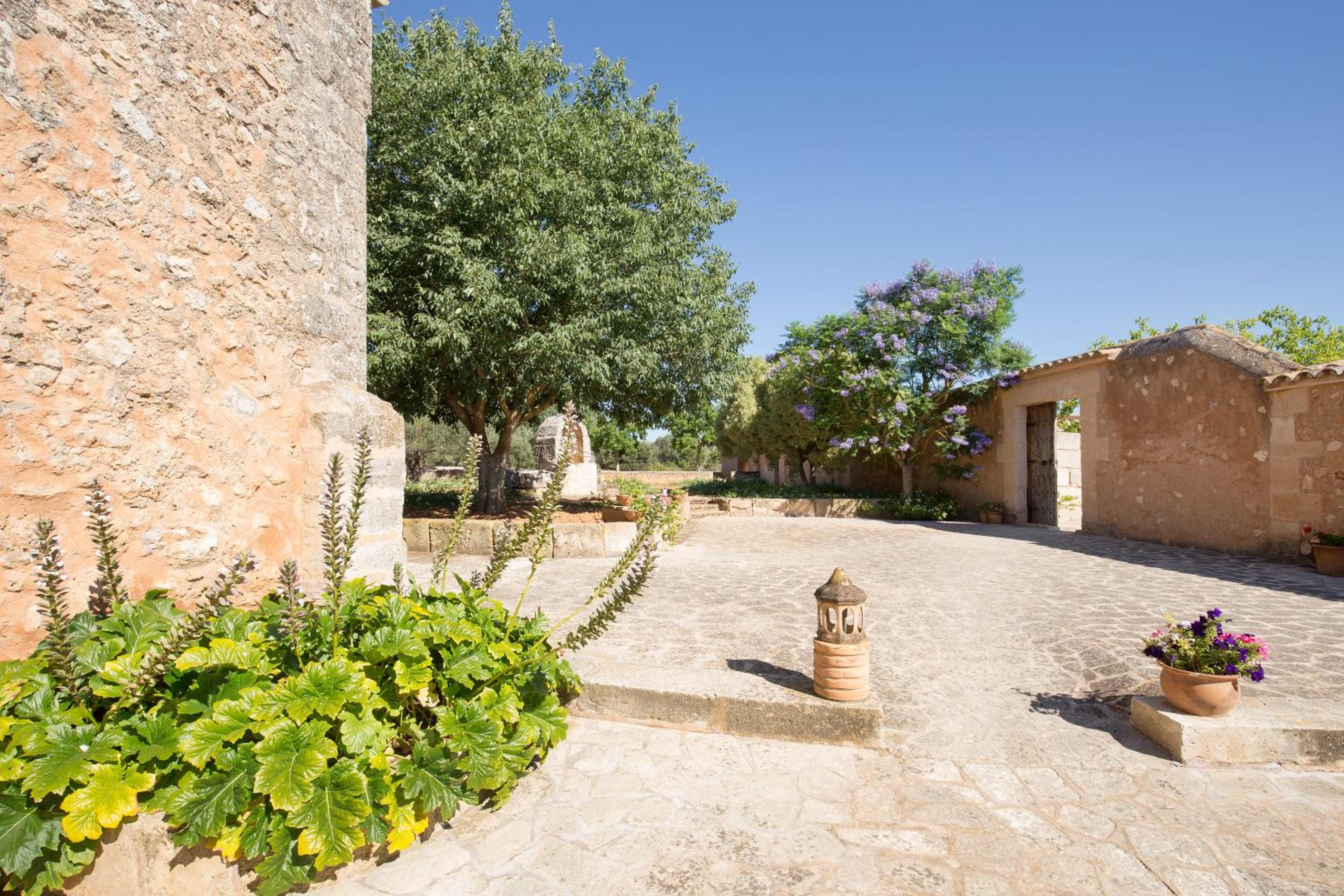 Hotel Son Cosmet photo 5