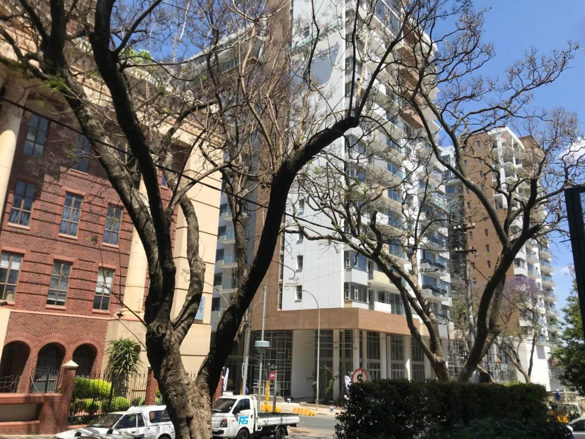 Luxury Stay Rosebank Johannesburg