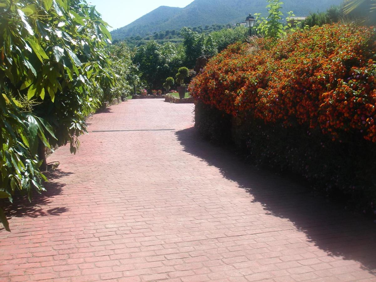 Photo 25