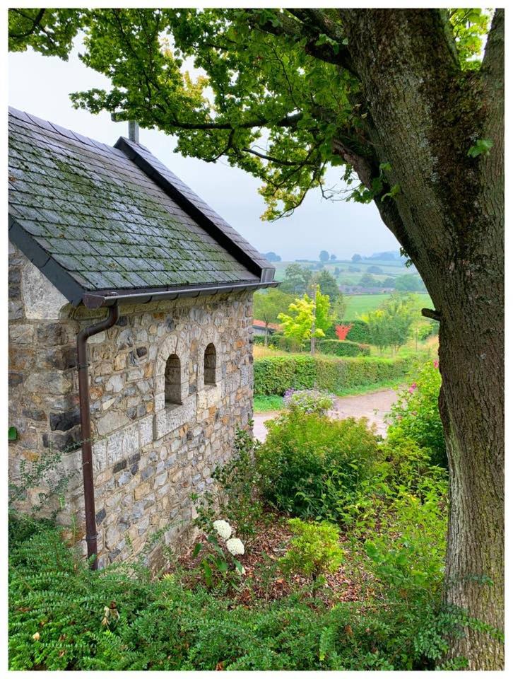 Huis in de natuur view 4