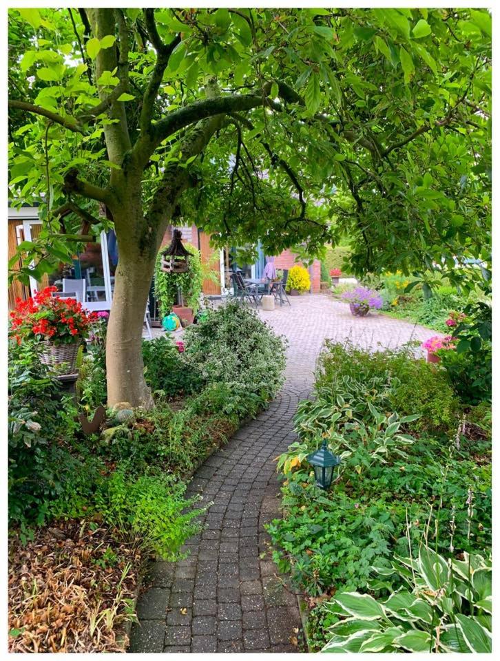 Huis in de natuur view 3
