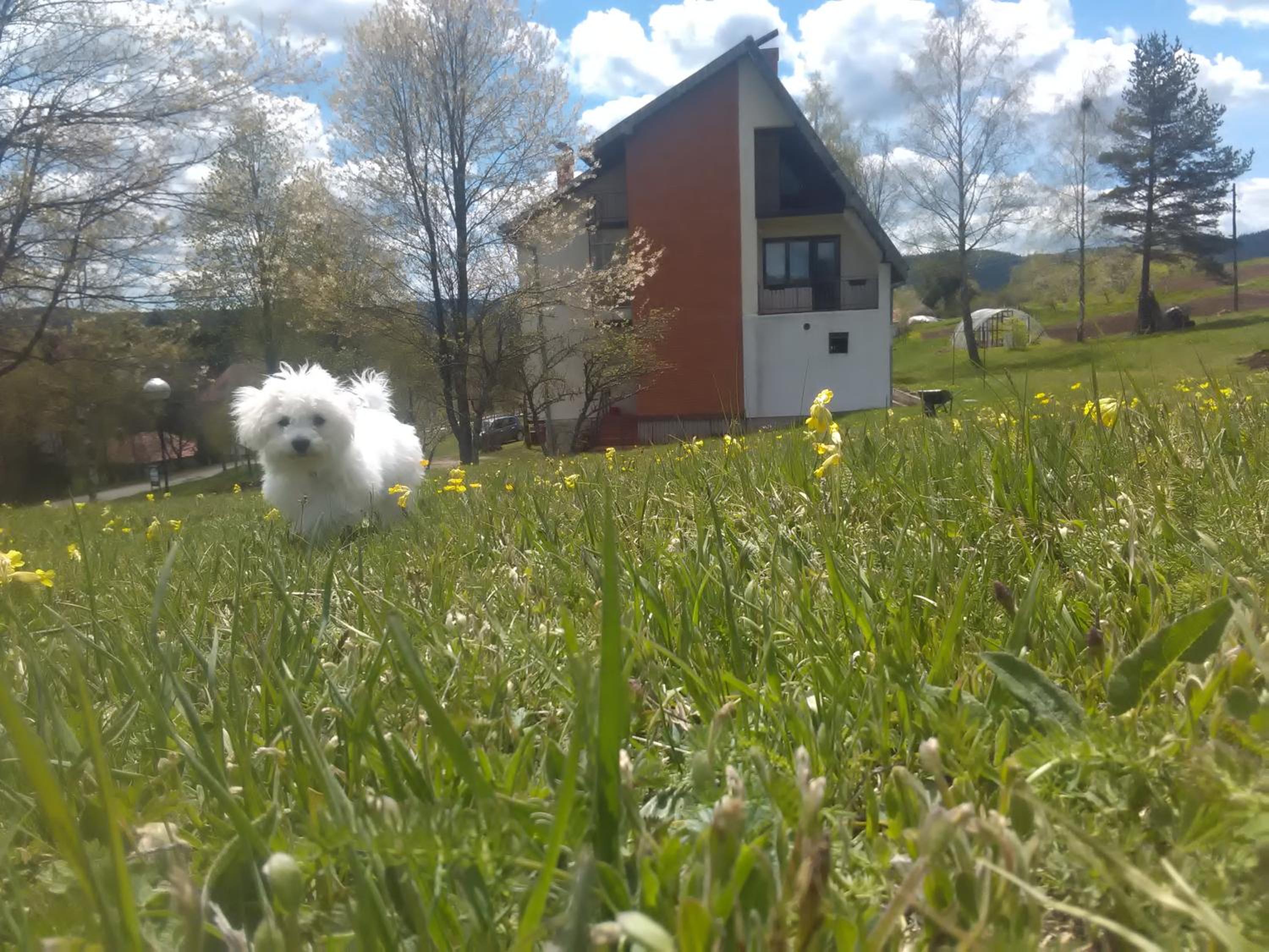Photo 14
