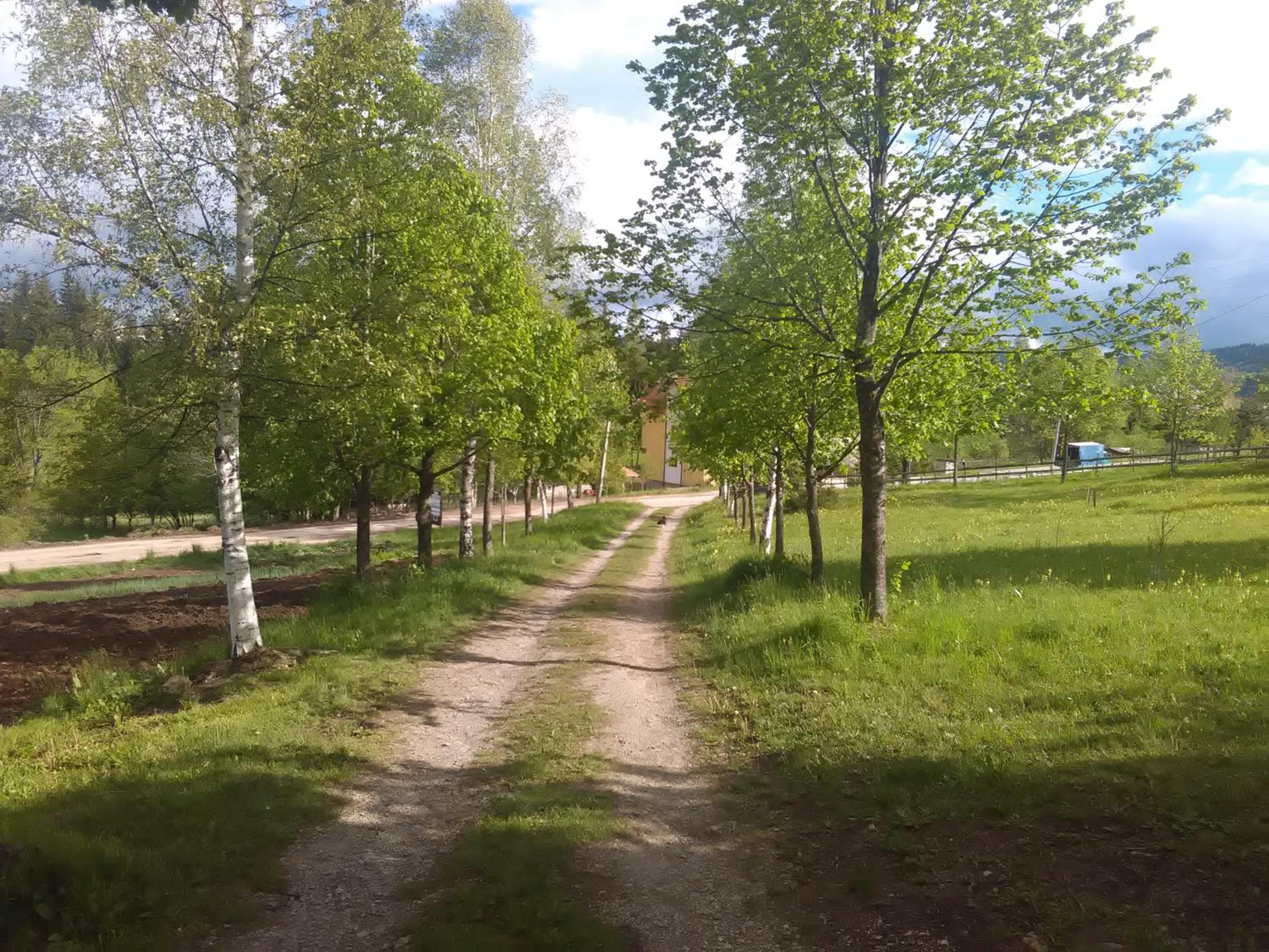 Photo 17