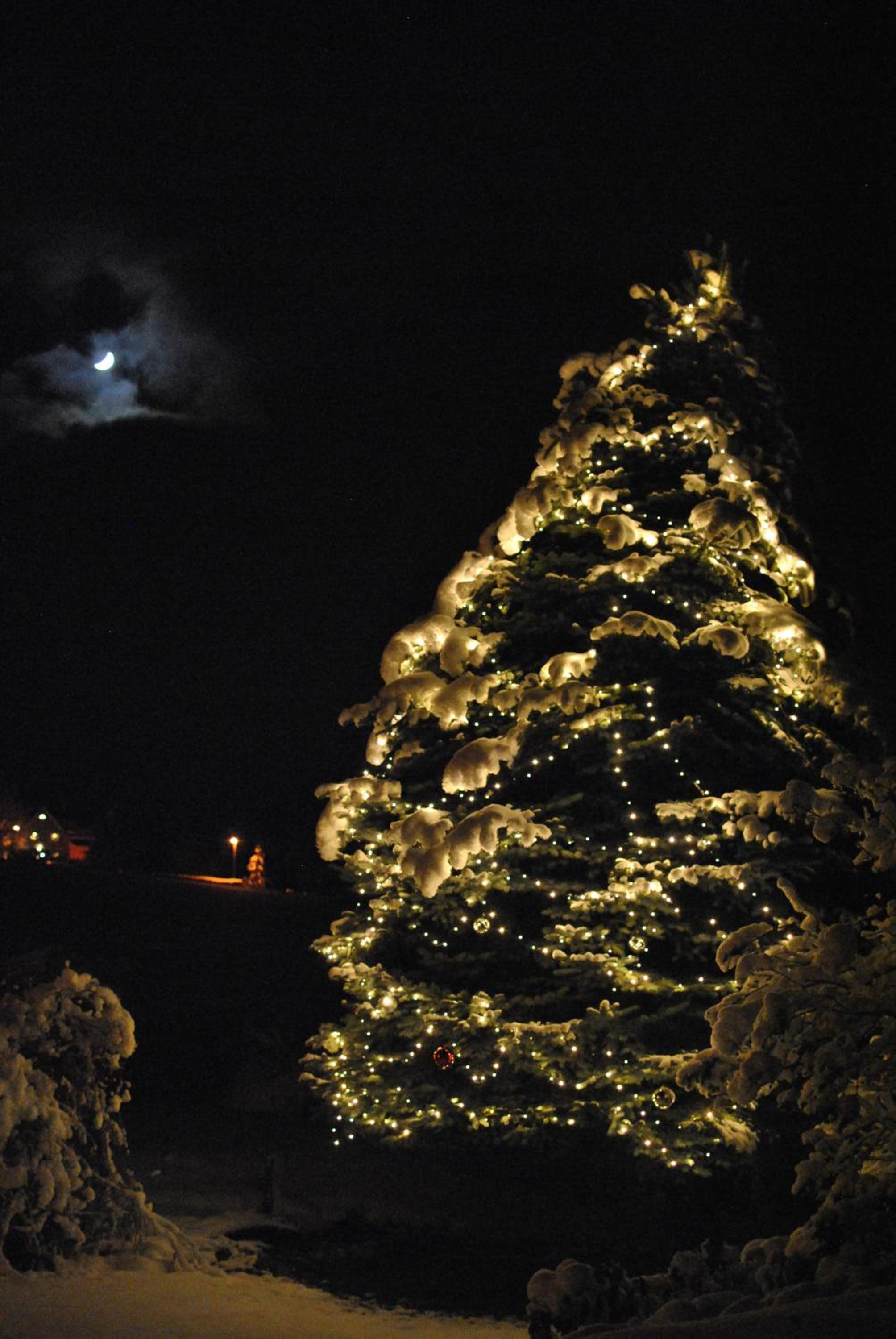 FeWo am Pochwerk-Badeteich - Property Image 10