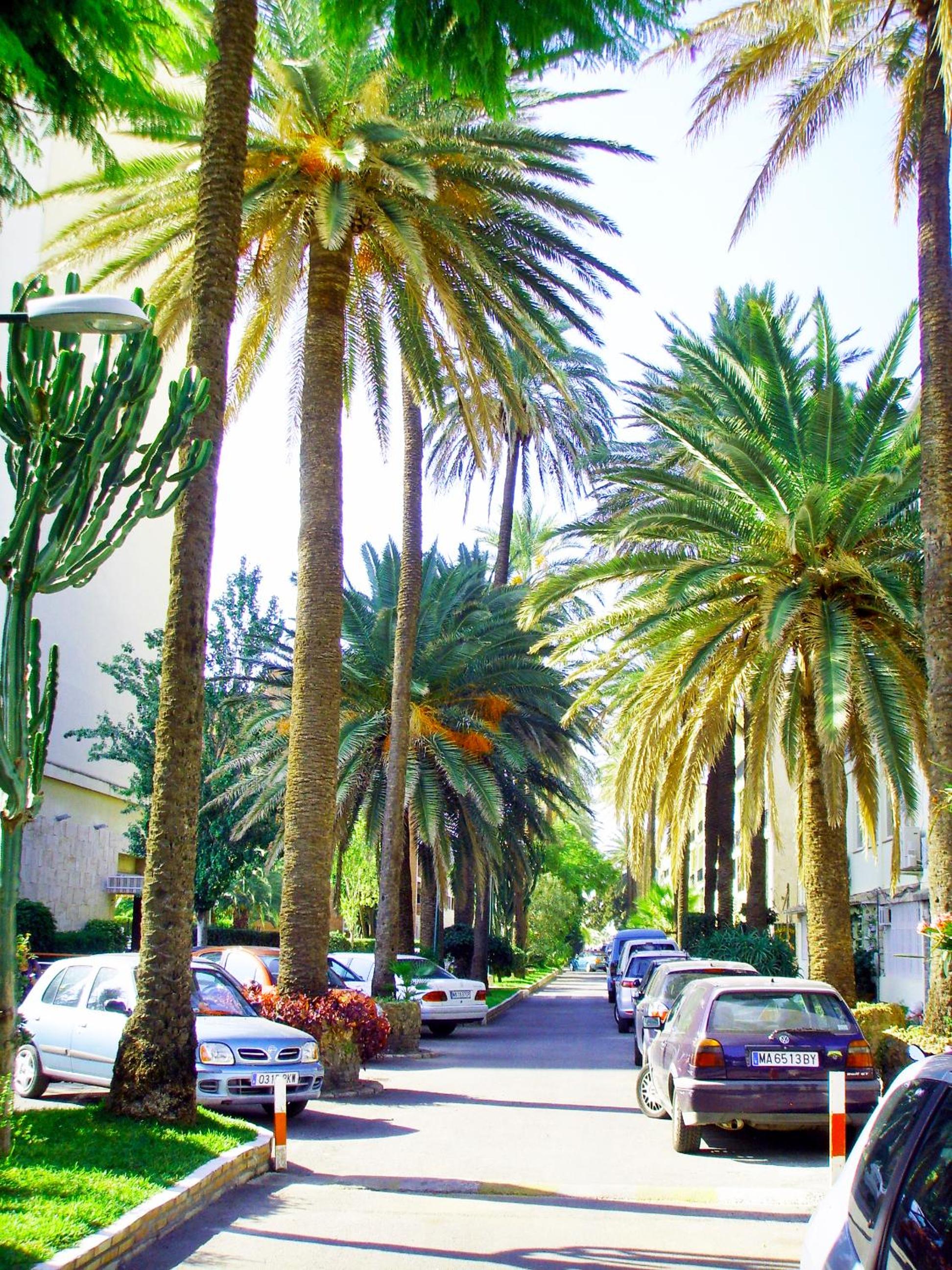 Photo 44