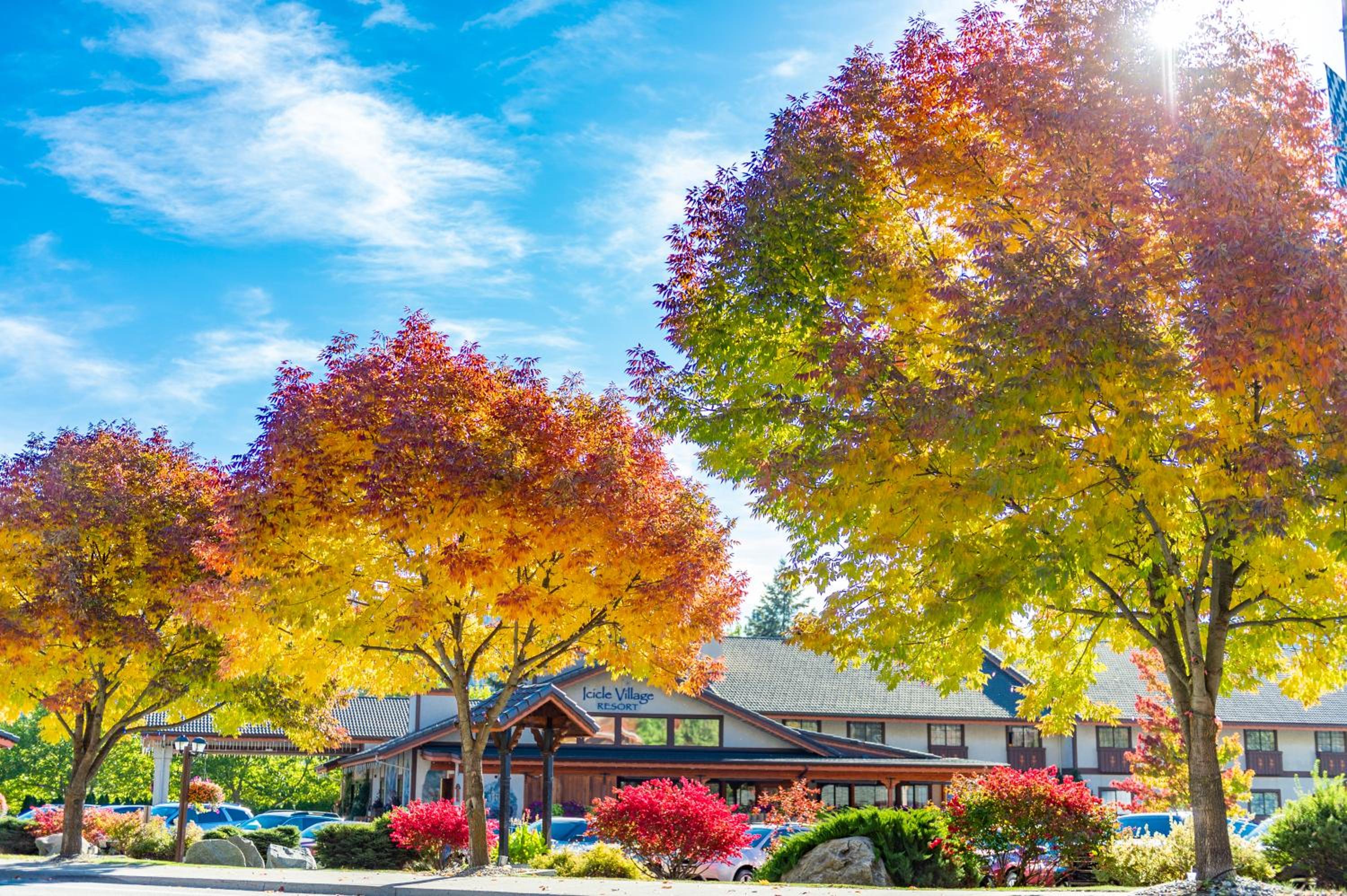 Icicle Village Resort
