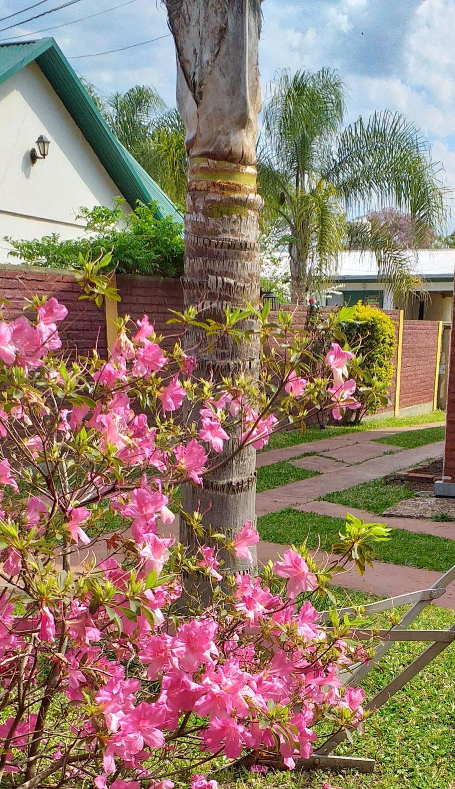 Cabaña Don Oscar