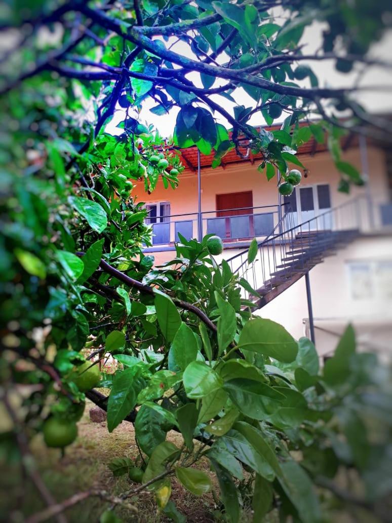 Photo 46