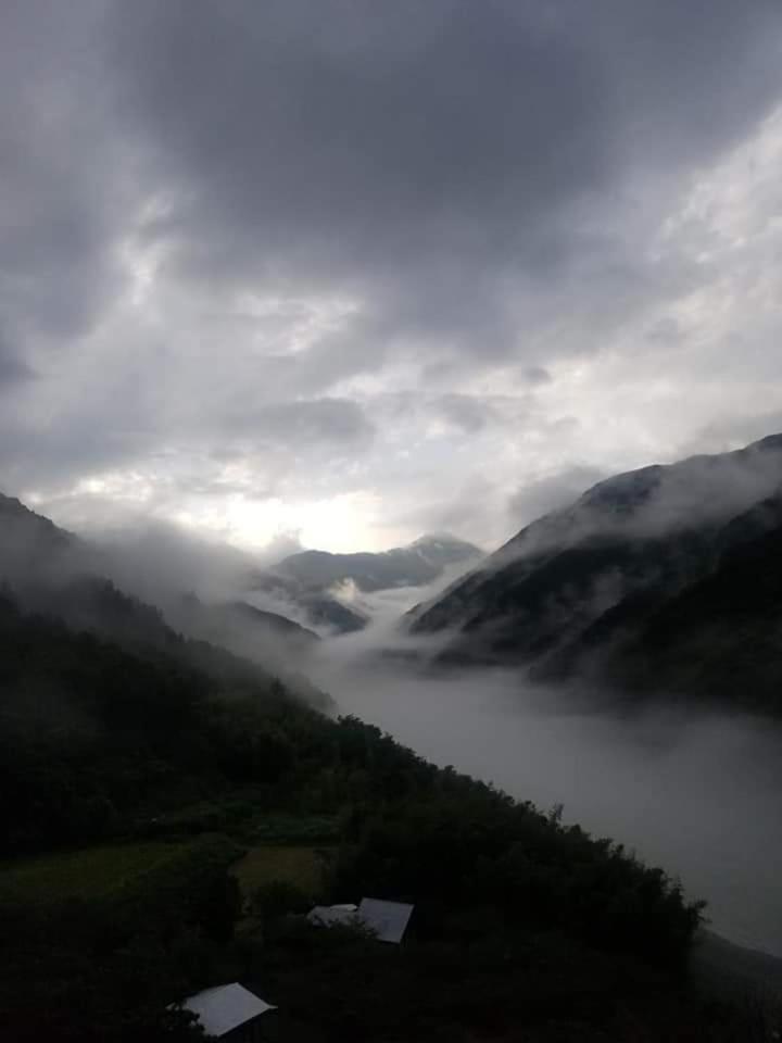 Photo 40