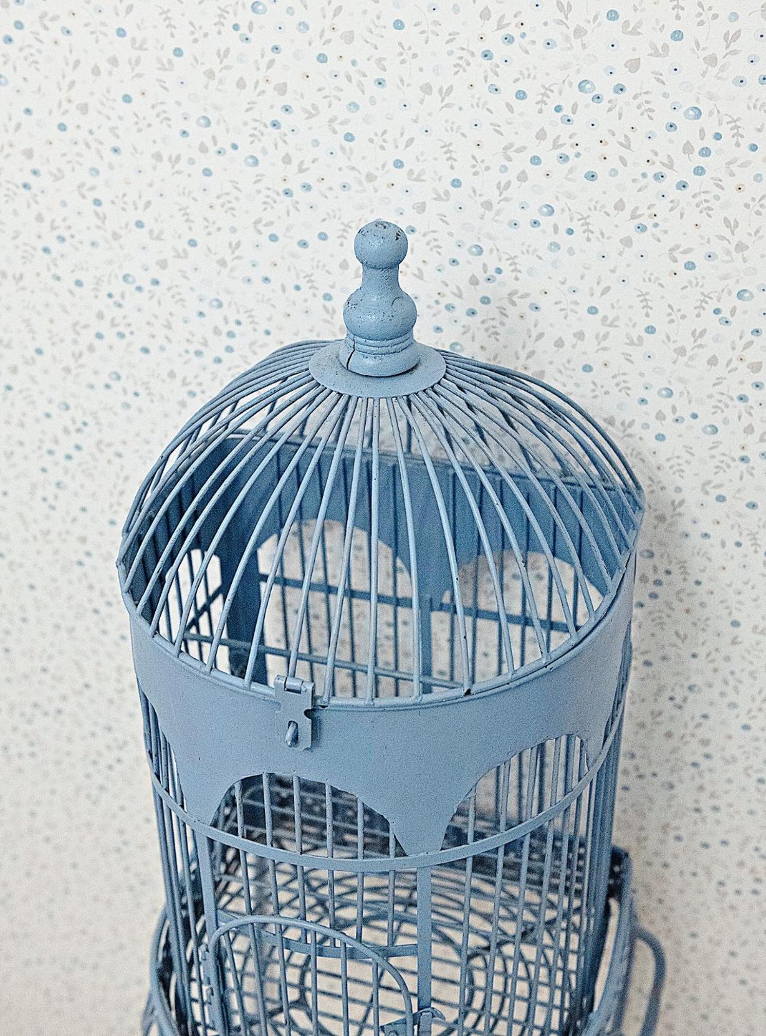 Photo 51