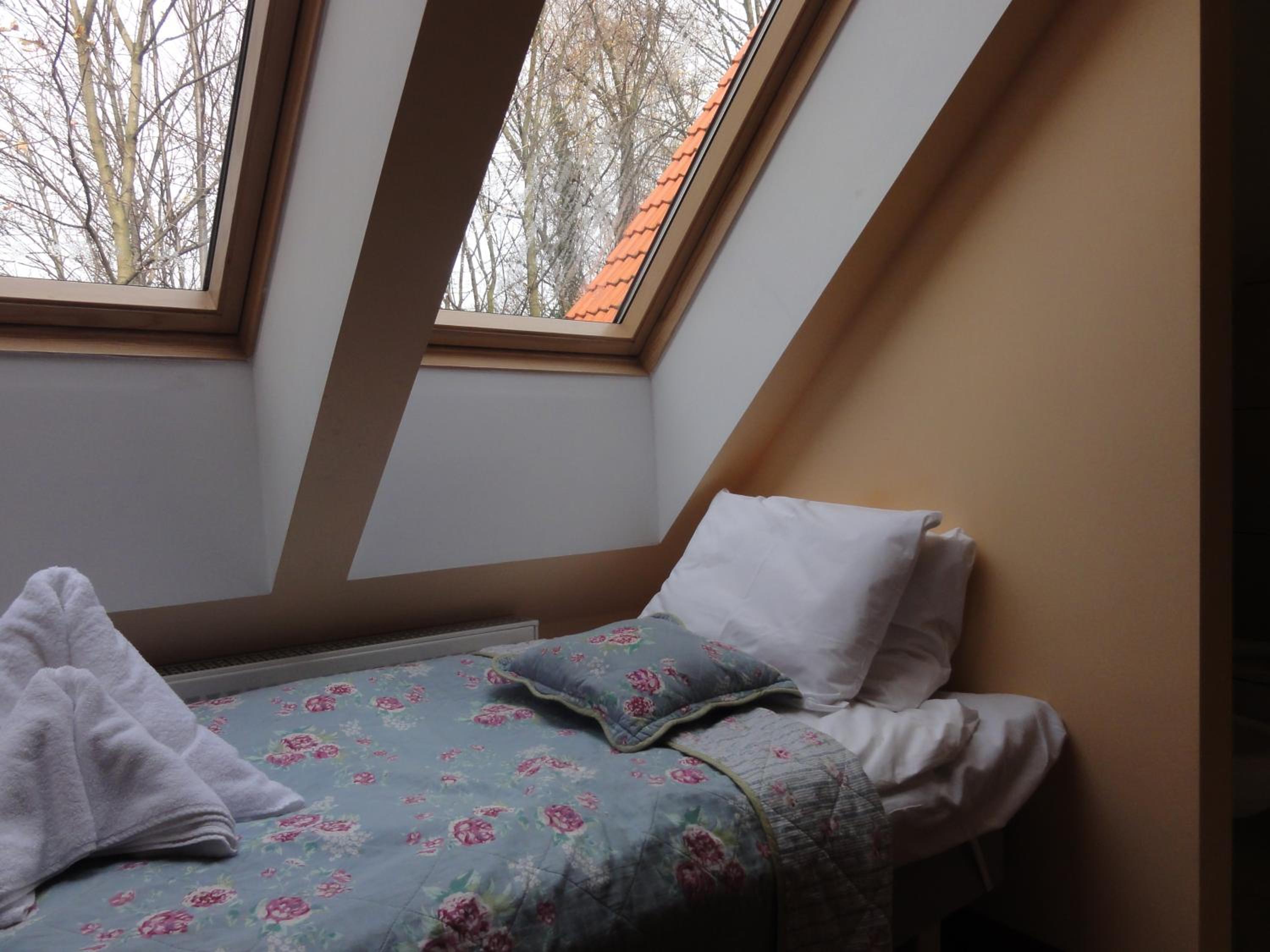 Photo 50