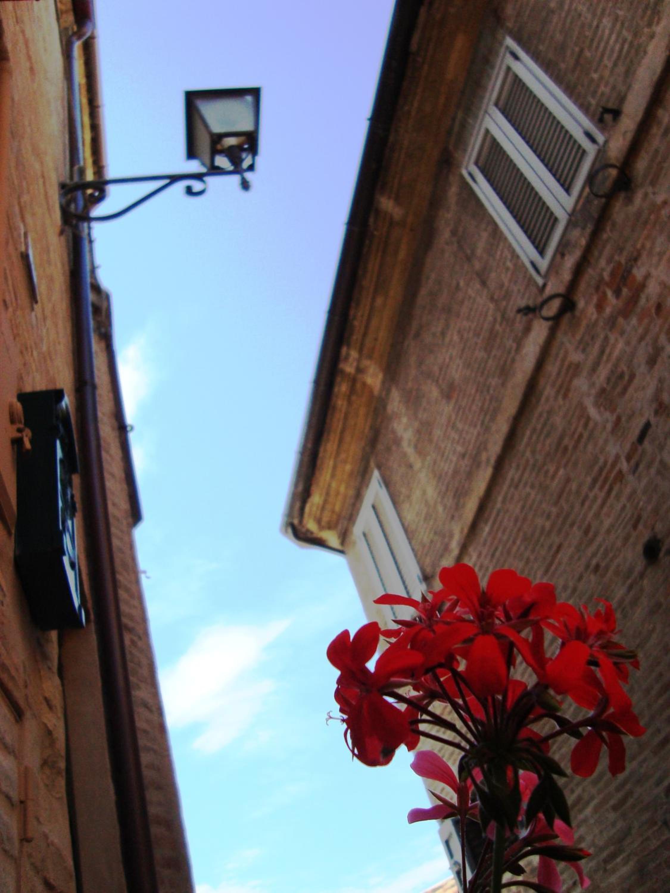 B&B La Lanterna