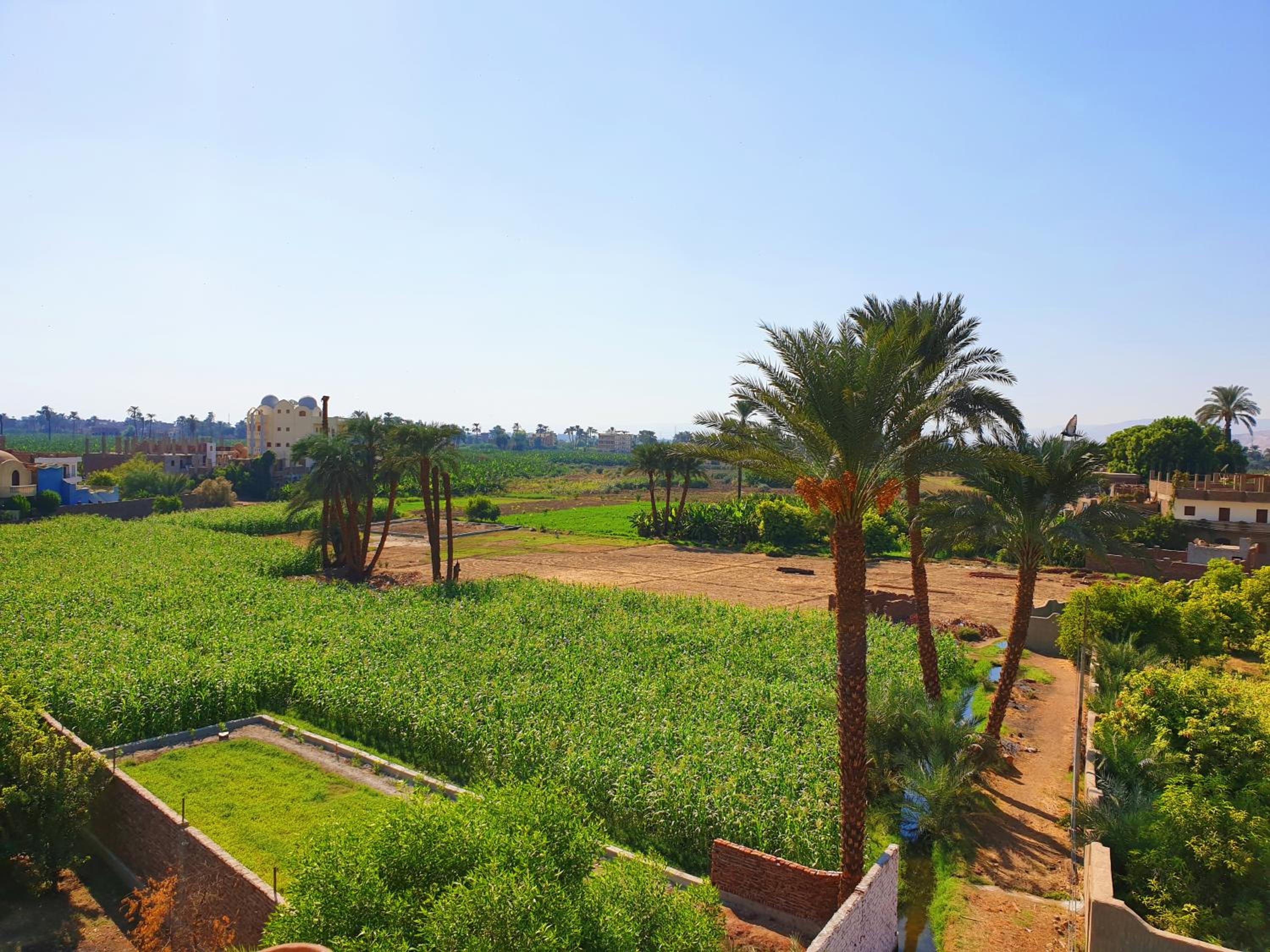 Farida Apartments