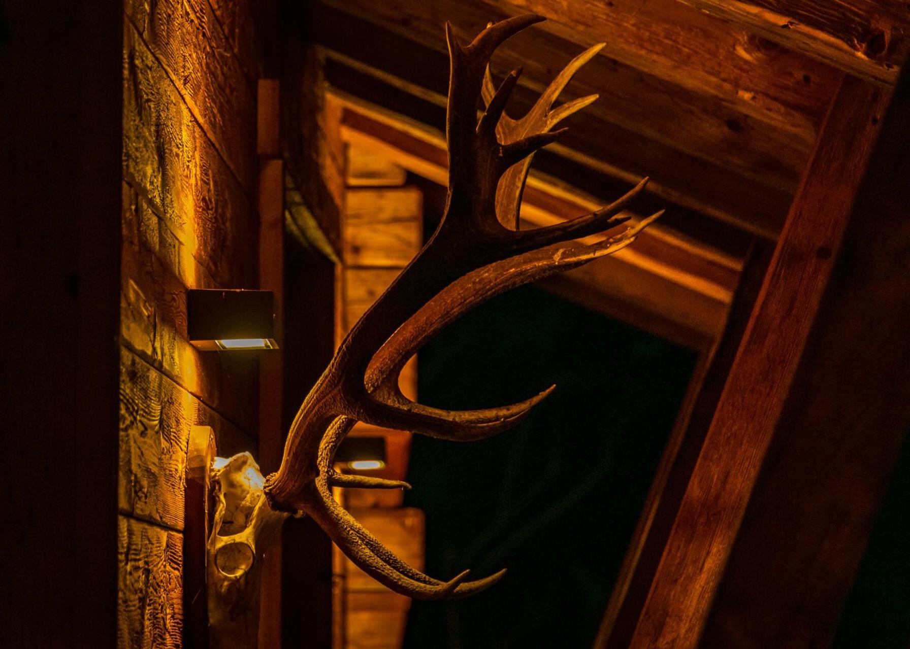 HochLeger - Chalet Refugium am Berg