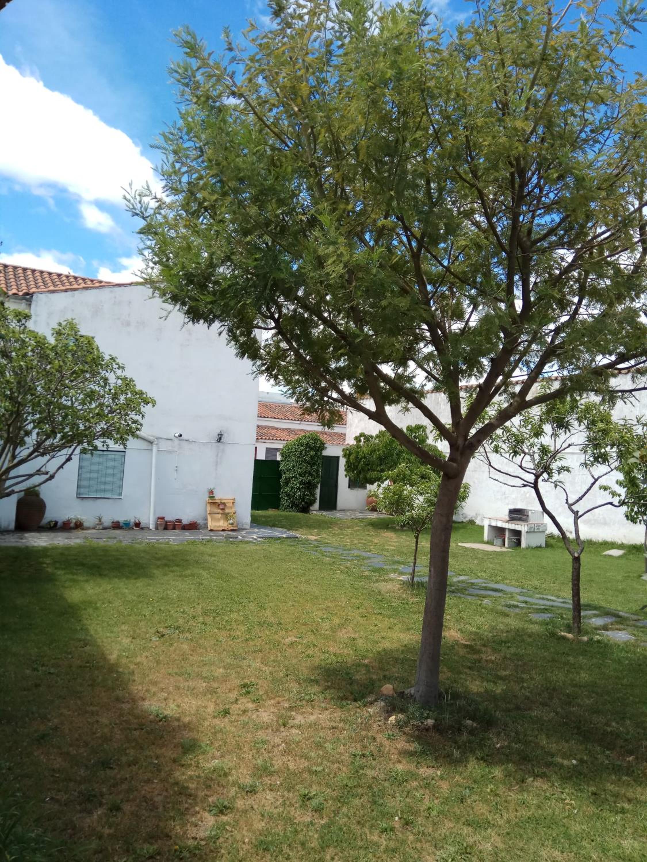 Casa Rural San Blas view 4