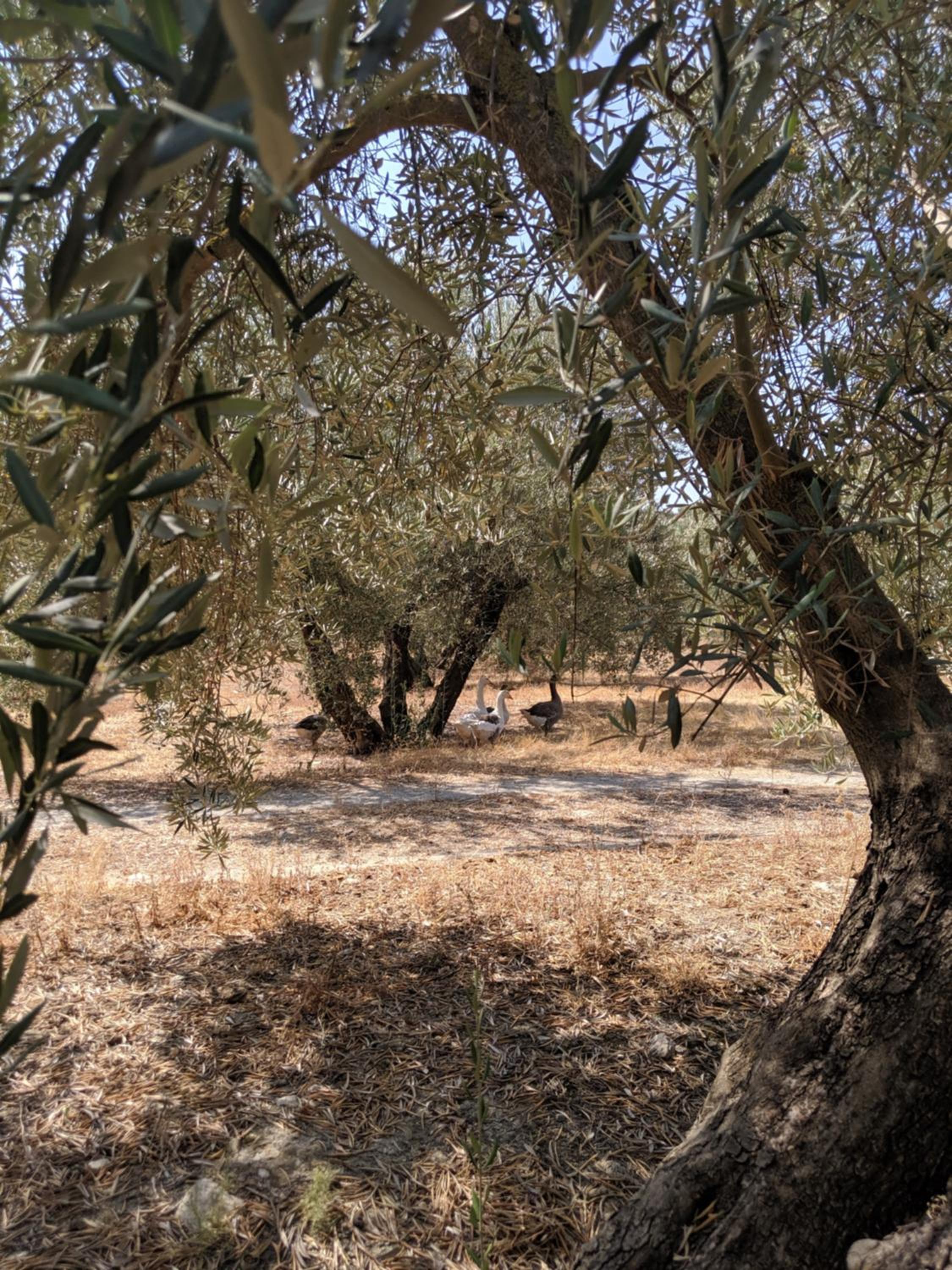 Photo 23