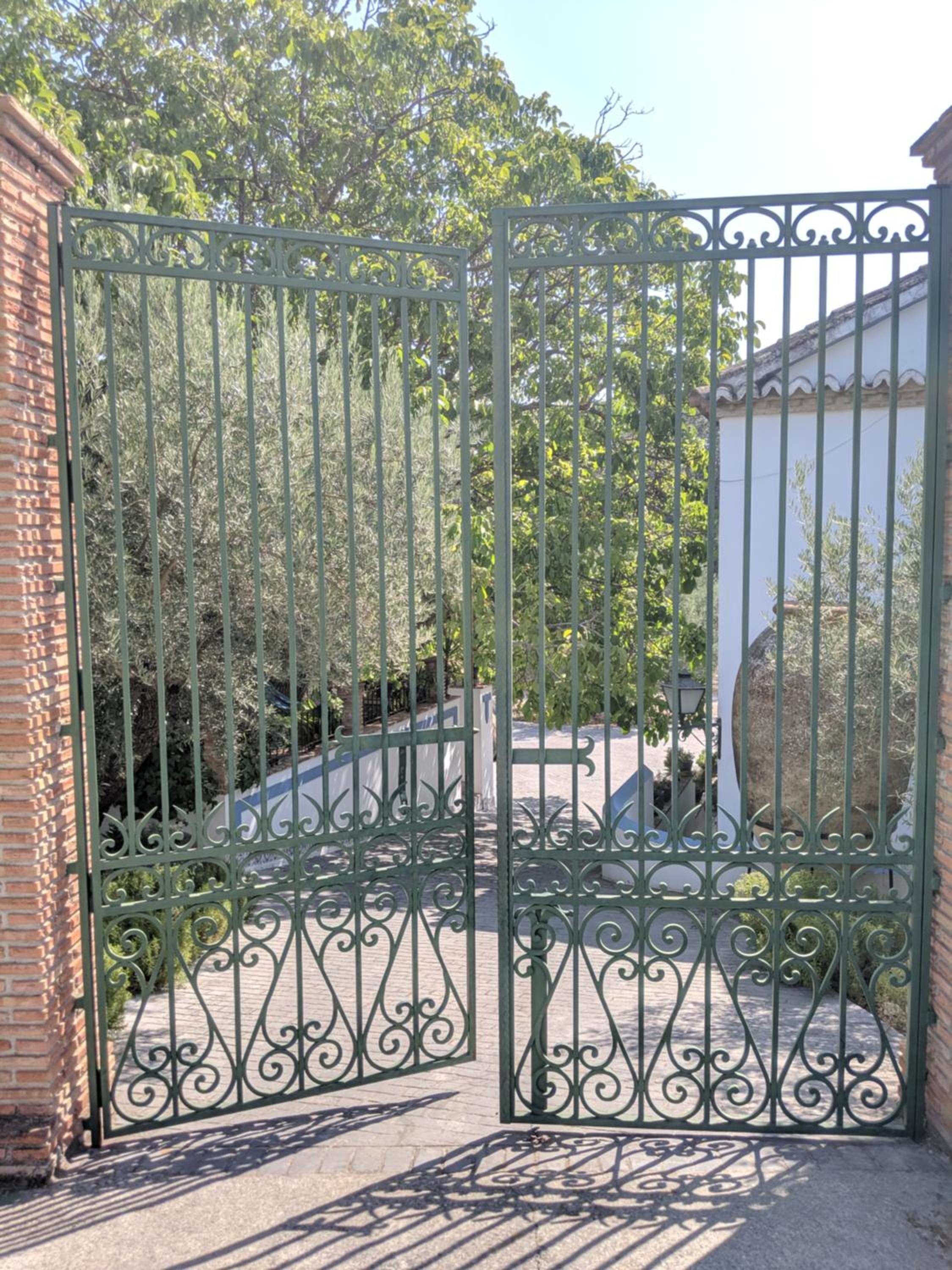 Photo 19