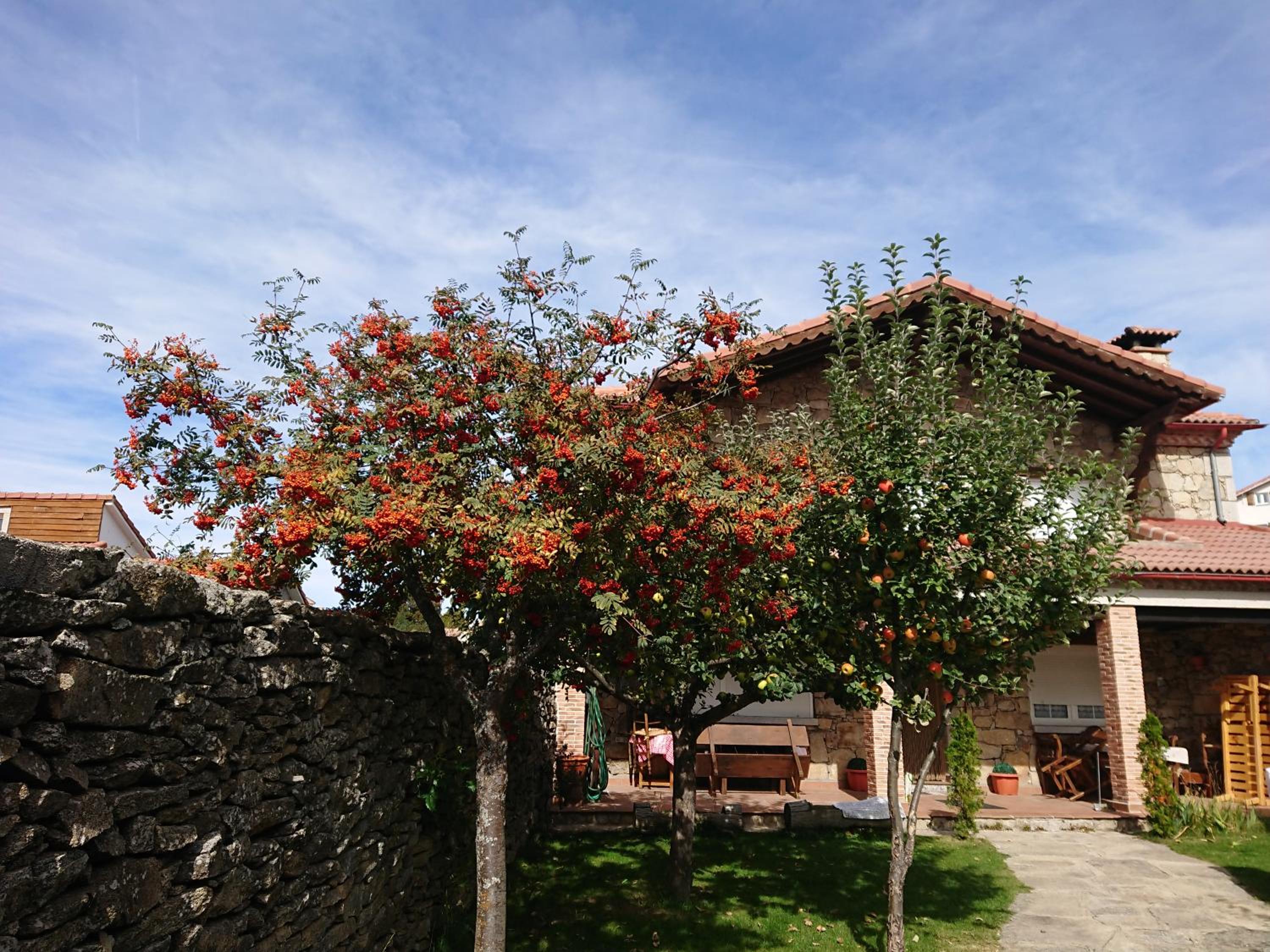 Ermita de Gredos