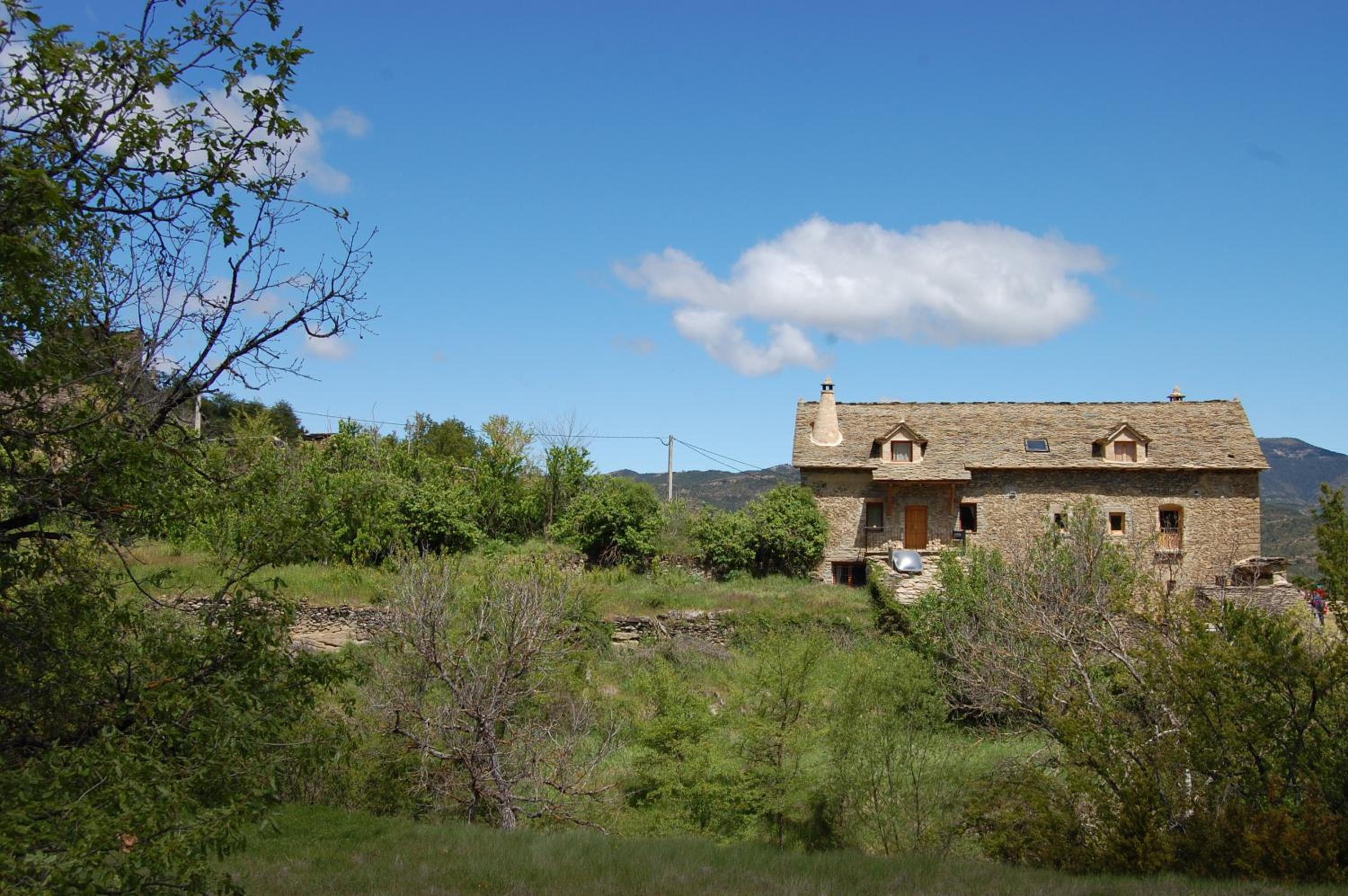 Photo 47