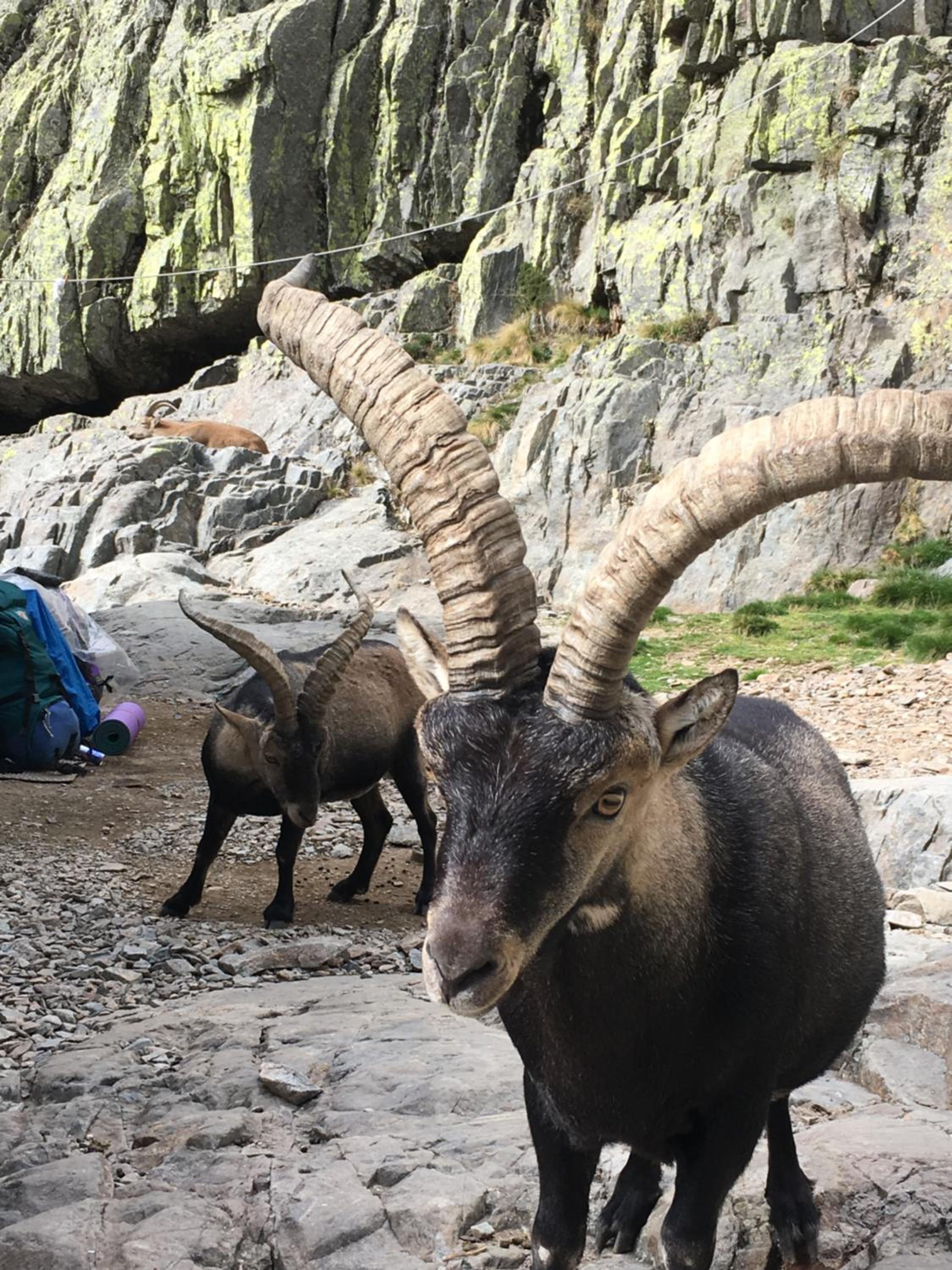 Photo 24