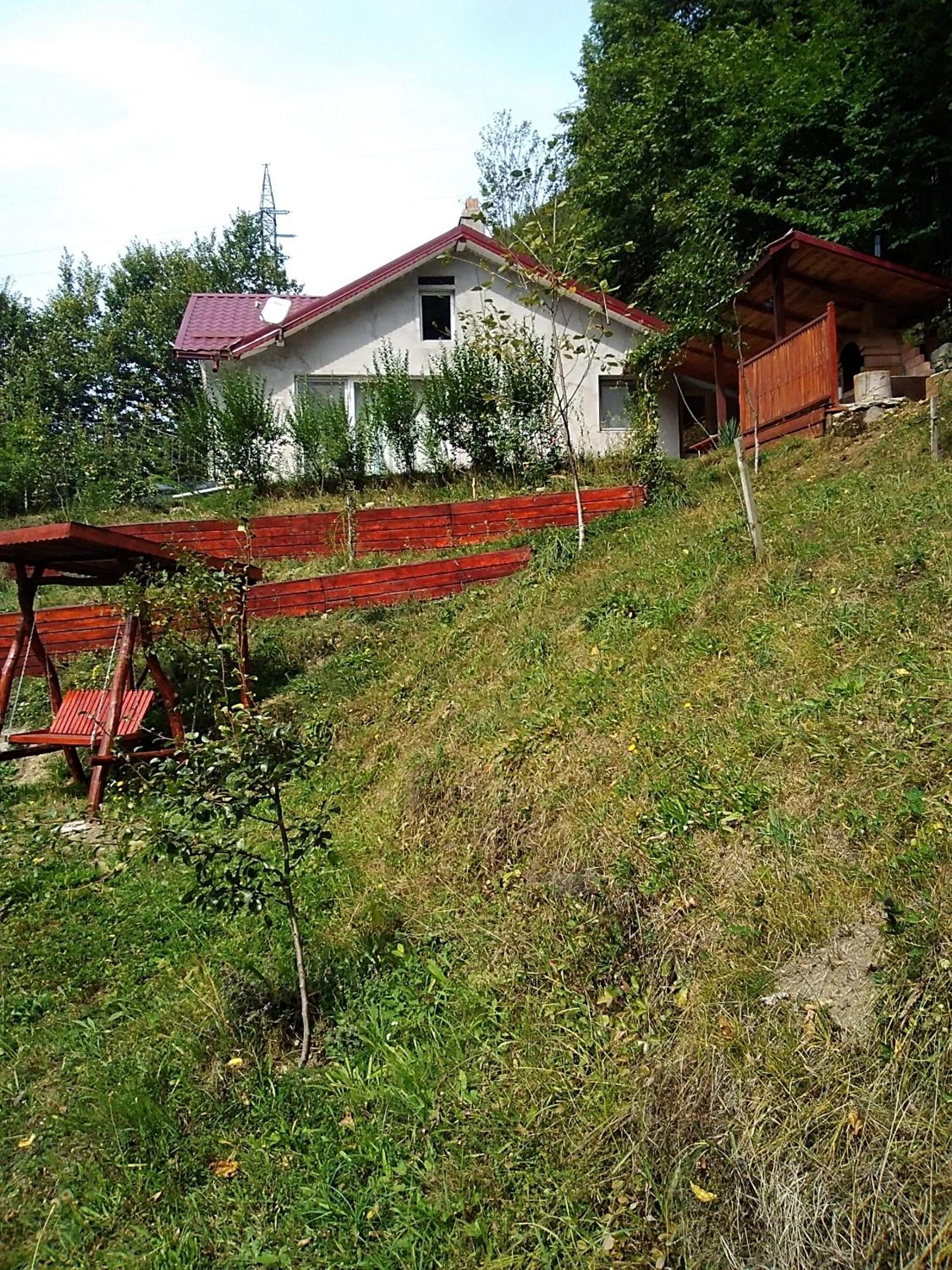 Photo 103