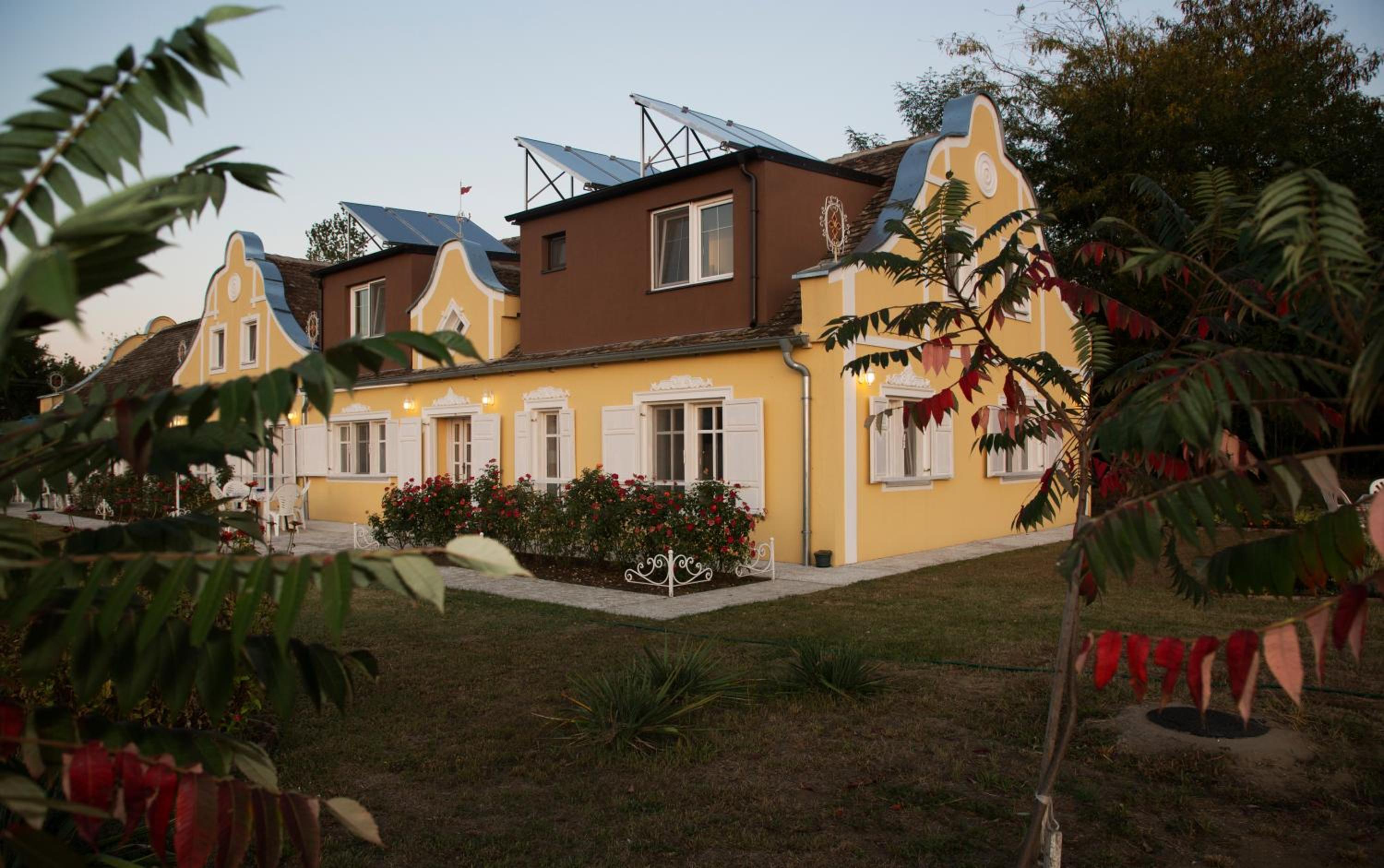 Photo 6