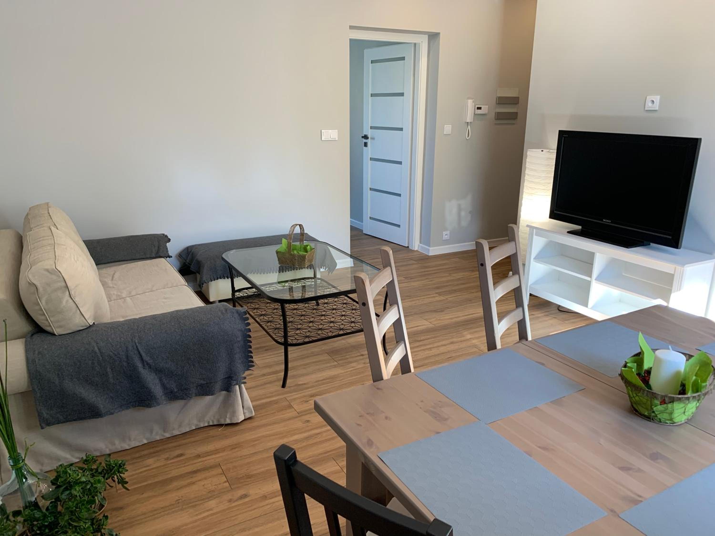 Grey apartment 50 m2 view 5
