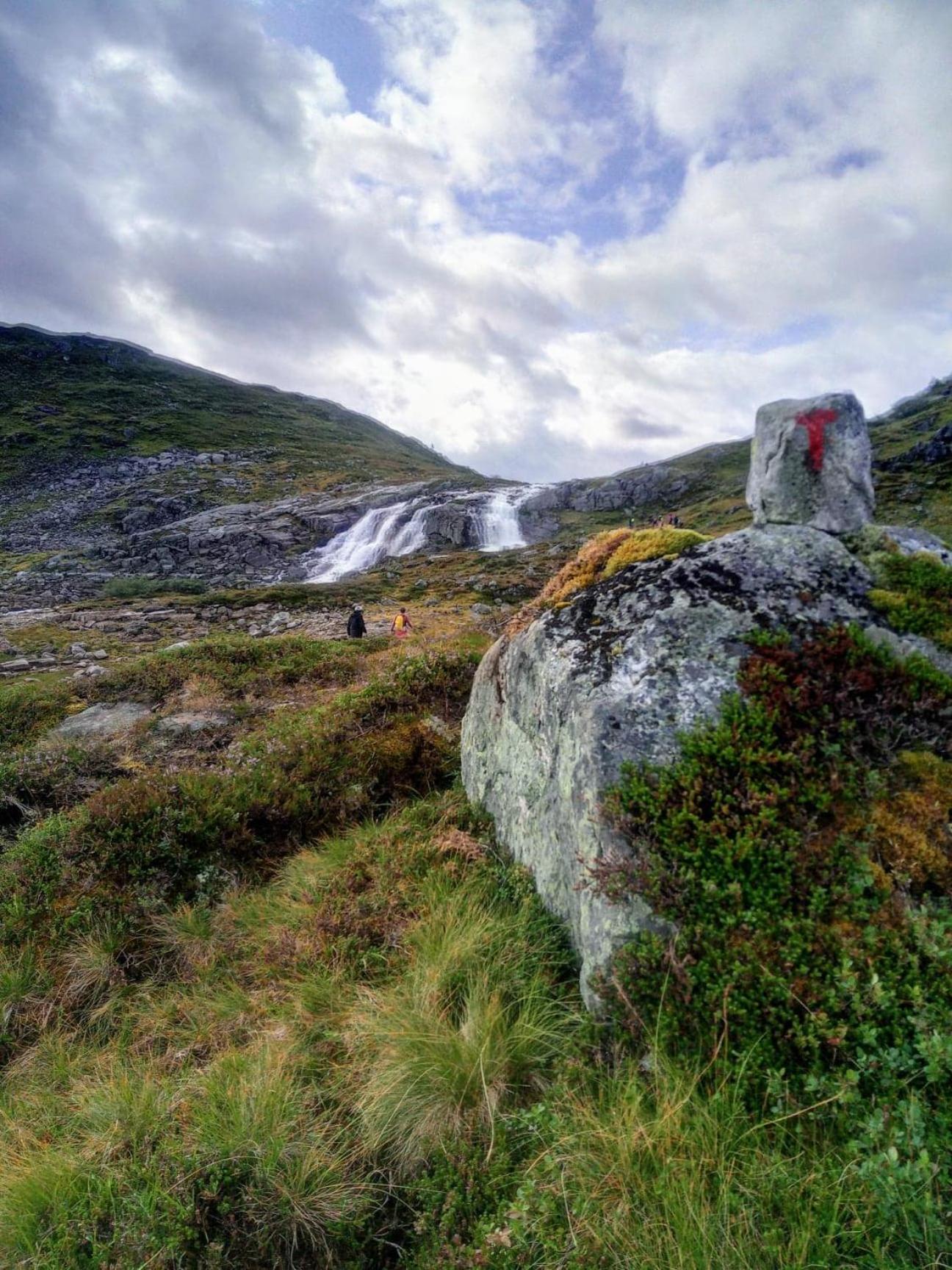 Photo 40