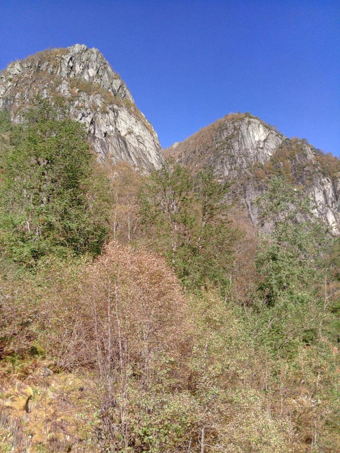 Photo 33