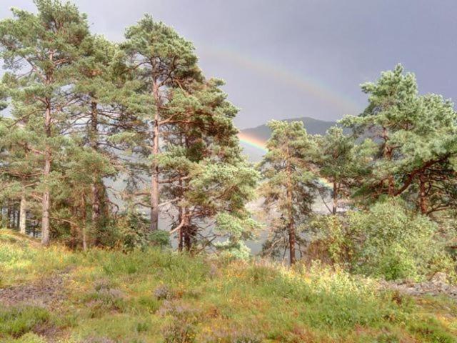Photo 32